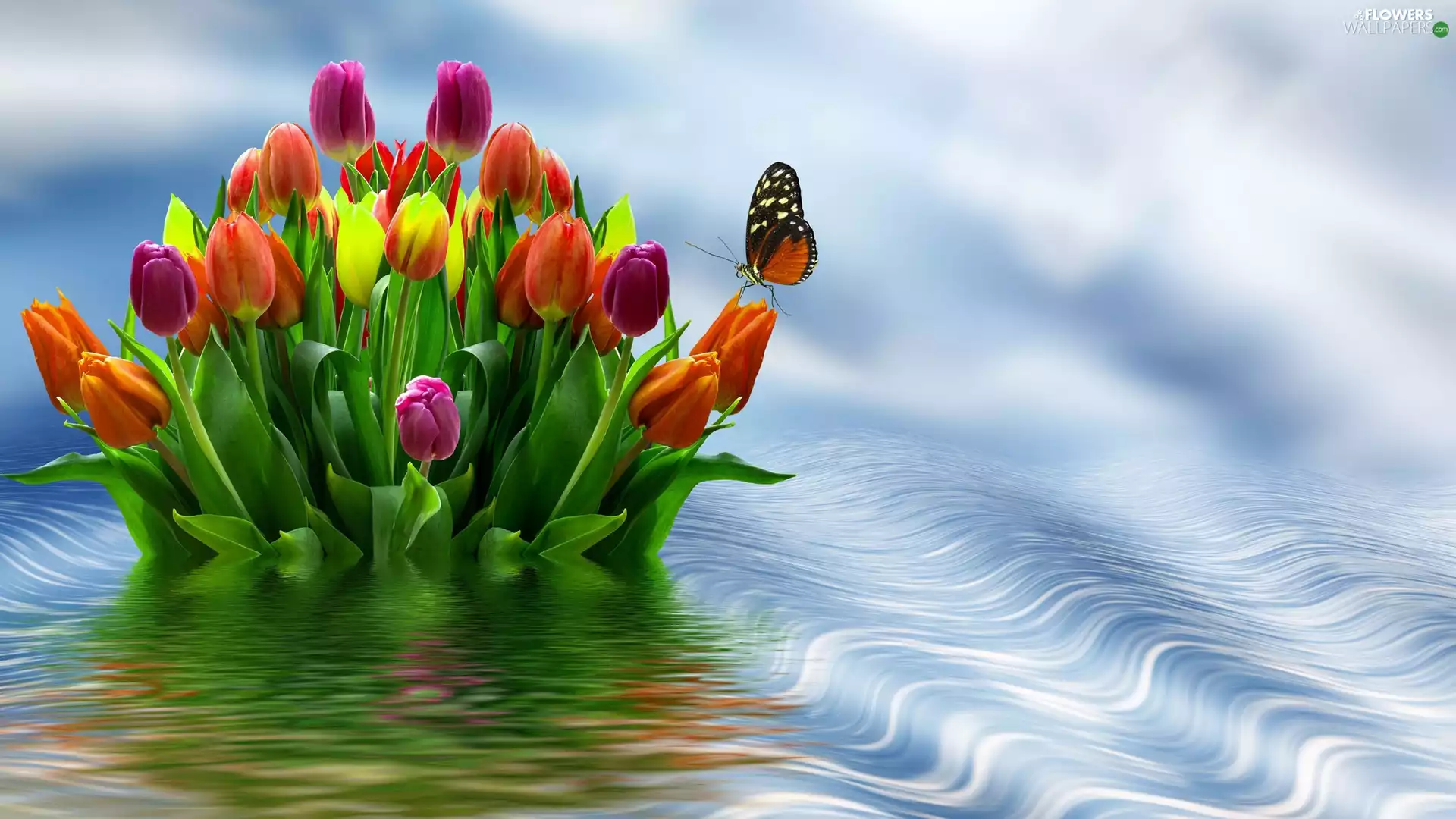 Flowers, butterfly, graphics, Tulips