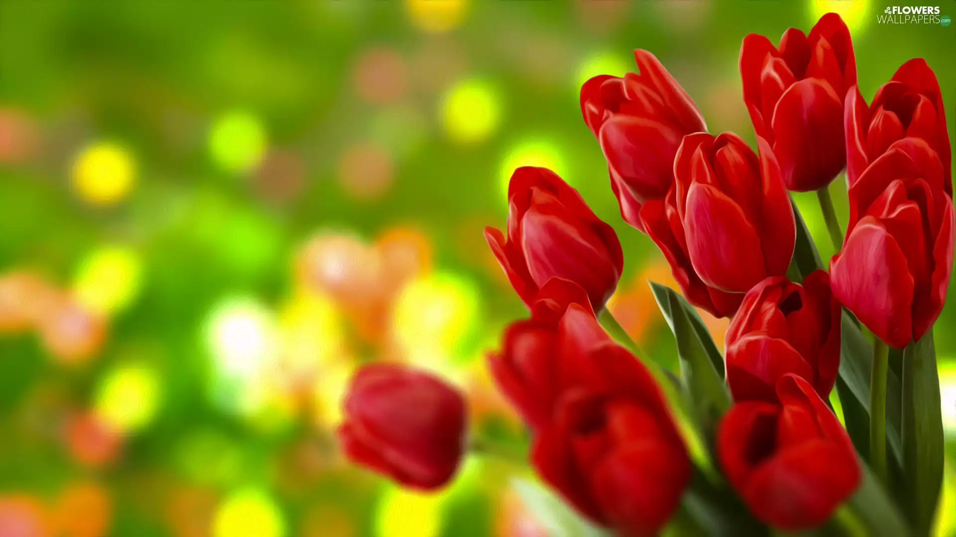 Flowers, Red, graphics, Tulips