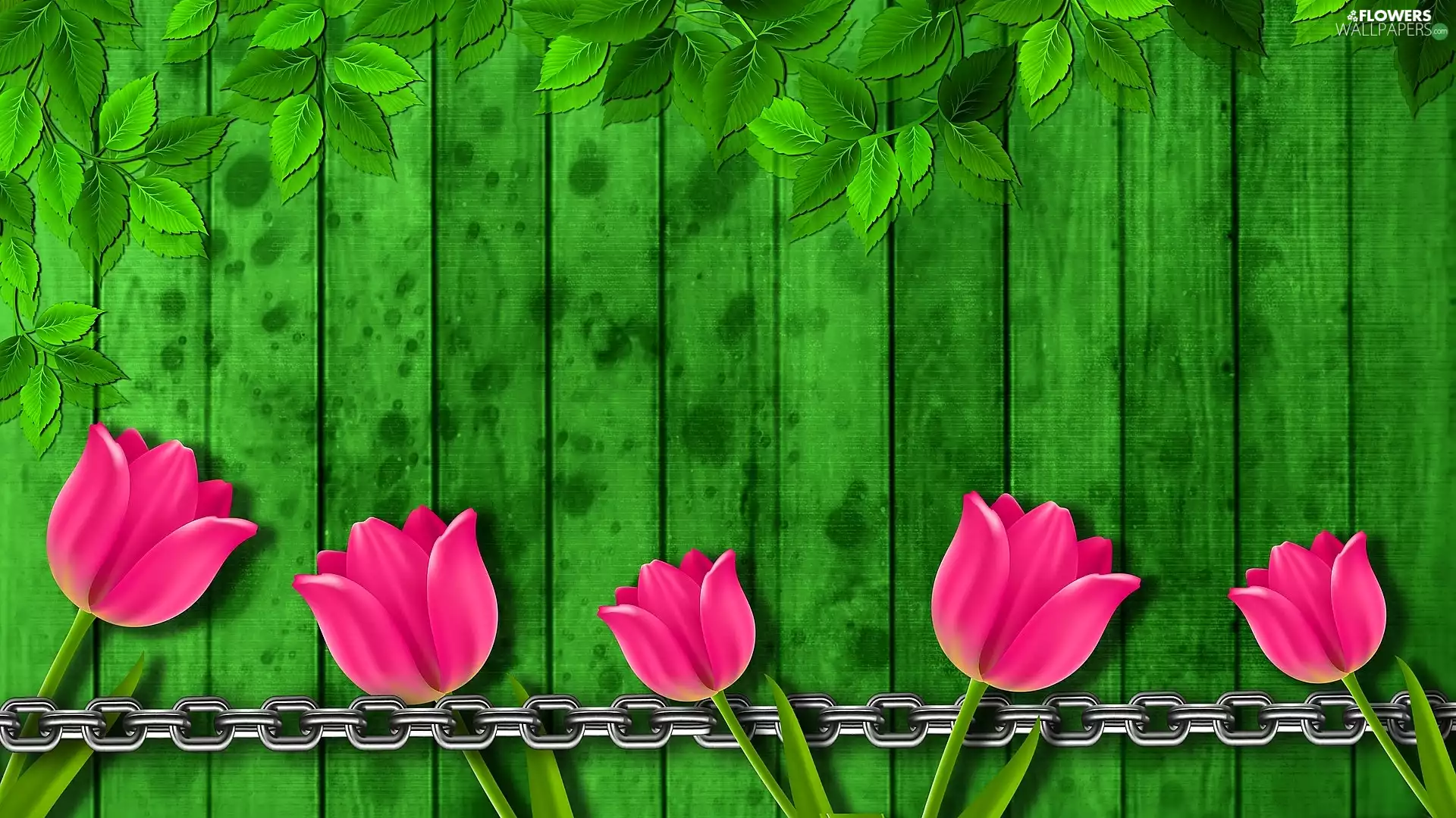 Tulips, green ones, 2D, leaves, chain, Pink, Colourfull Flowers, boarding