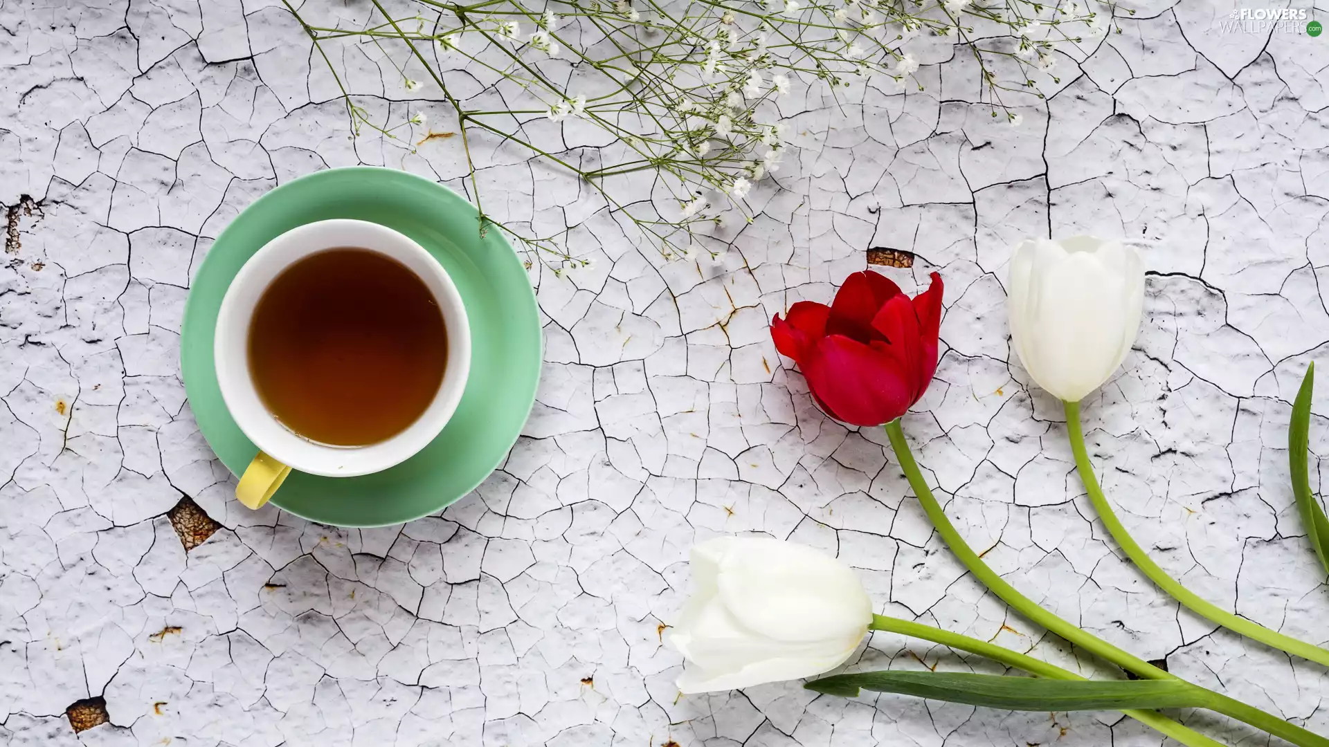 Flowers, cup, tea, Tulips