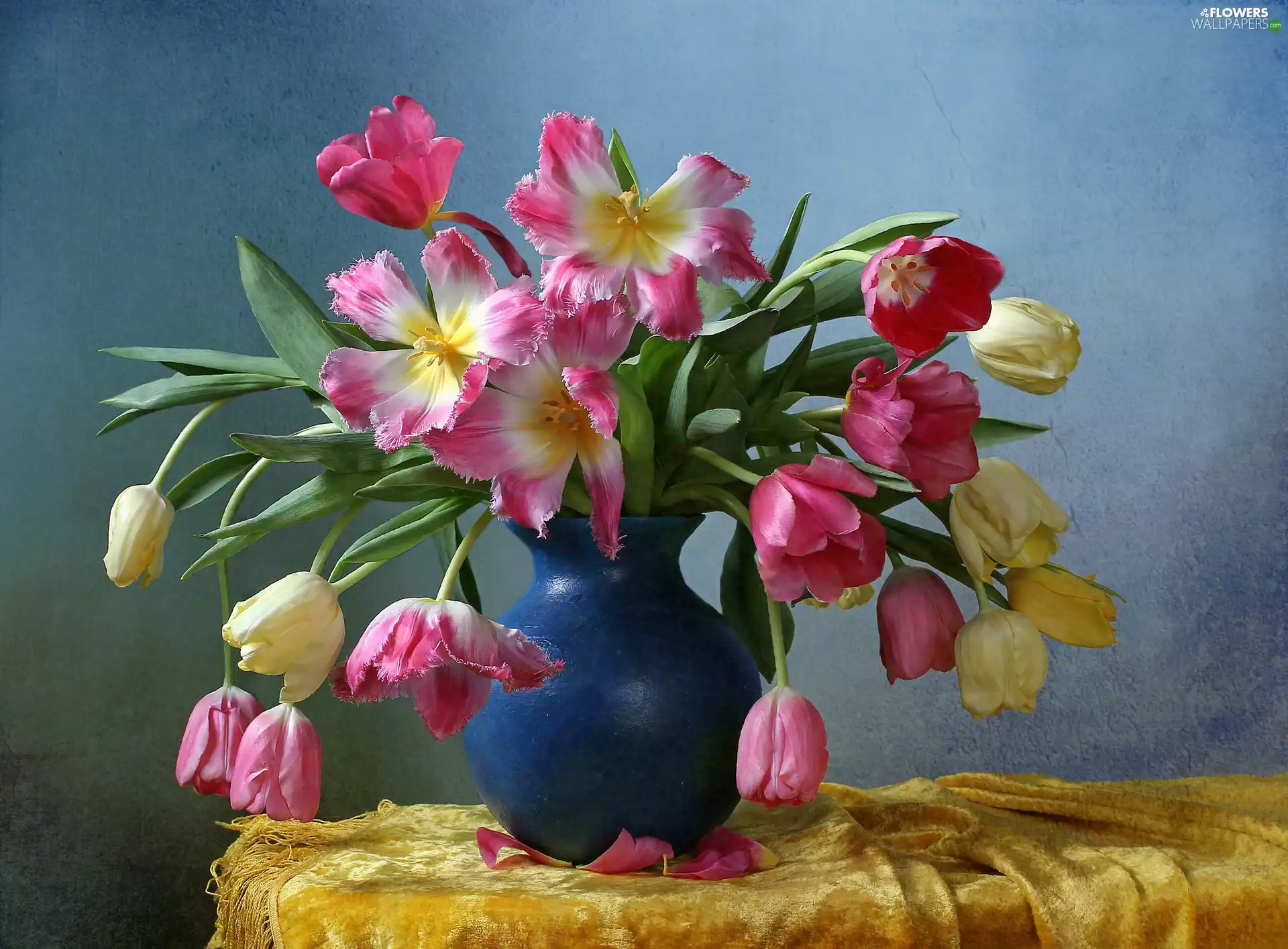 Flowers, blue, Vase, Tulips