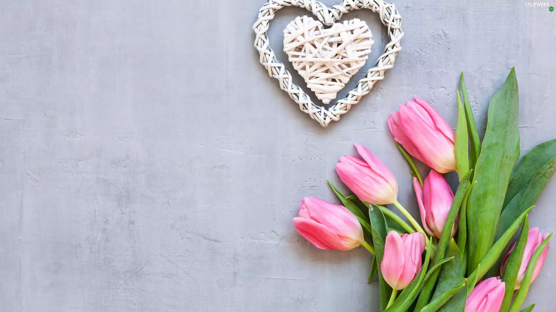 Tulips, wicker, Heart