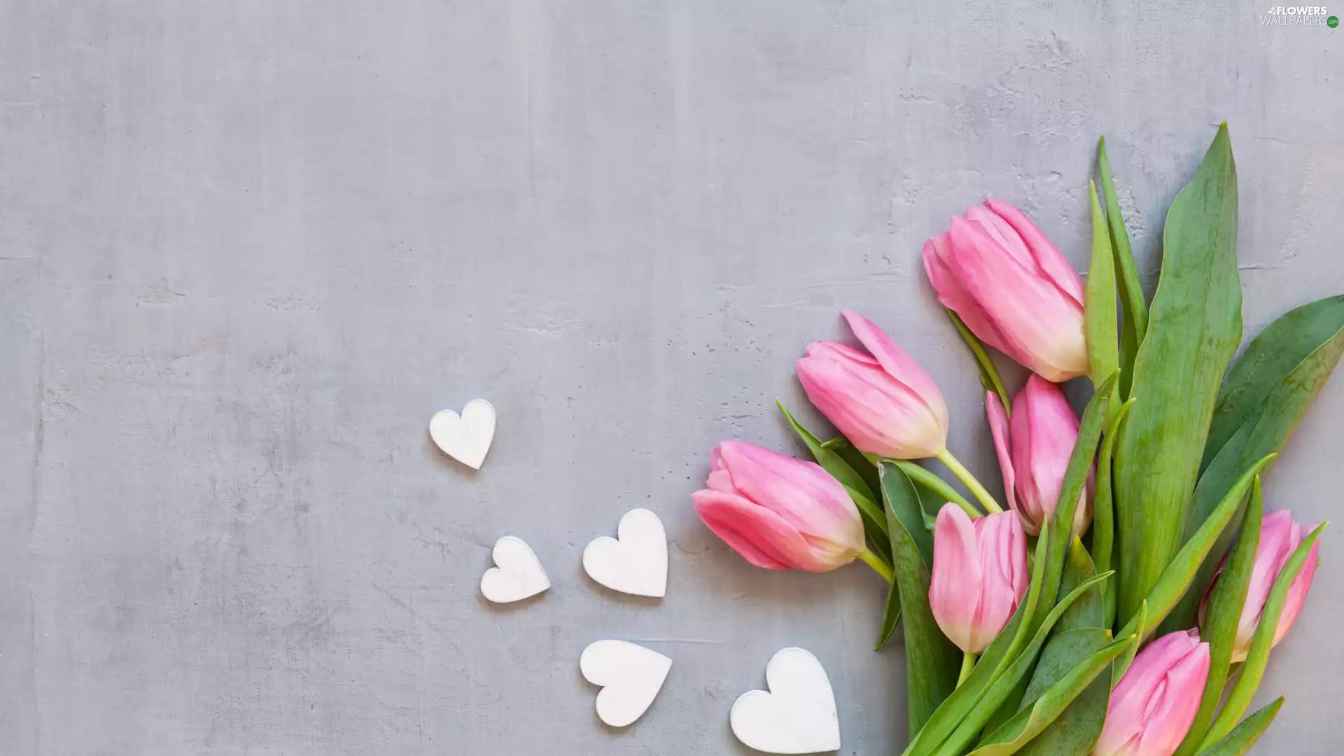 Tulips, Flowers, hearts