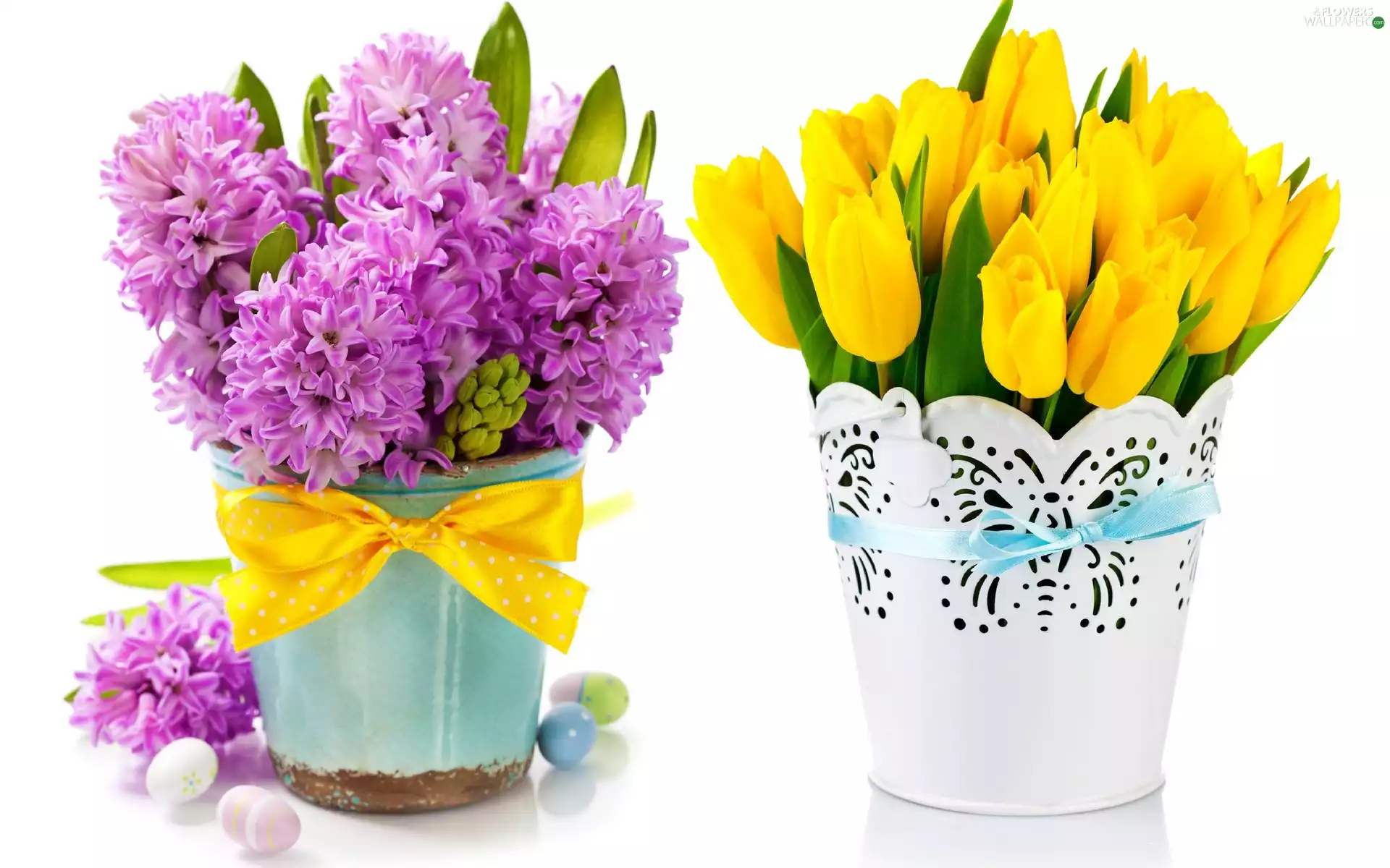 Hyacinths, Pots, eggs, Tulips