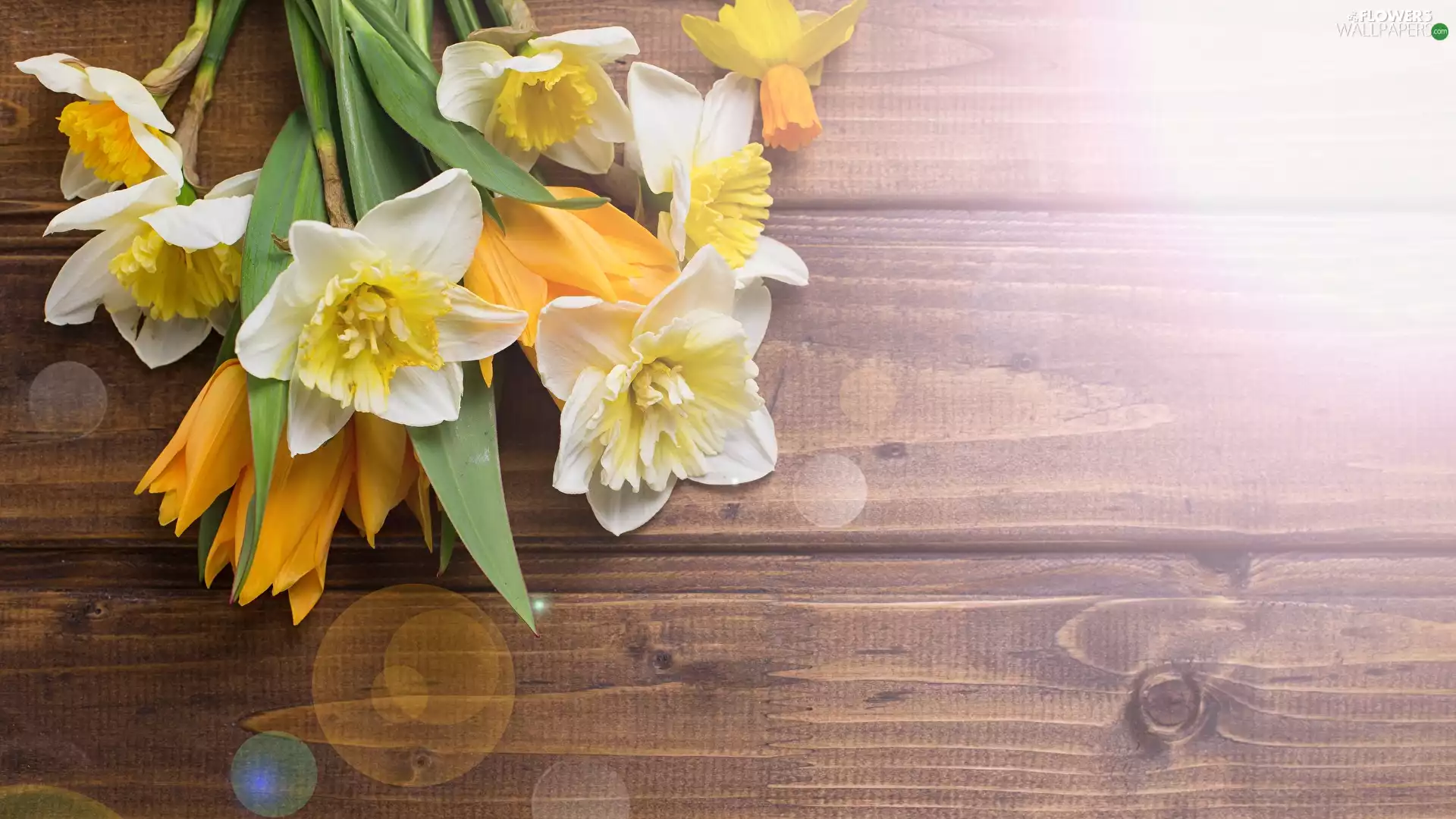 Jonquil, bouquet, boarding, Tulips