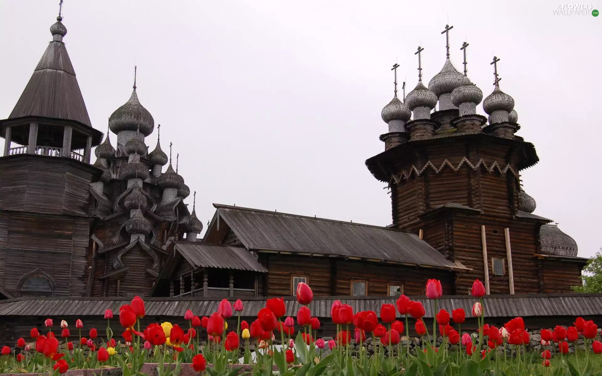 Churches, Tulips, Kizhi, wood, Karelia