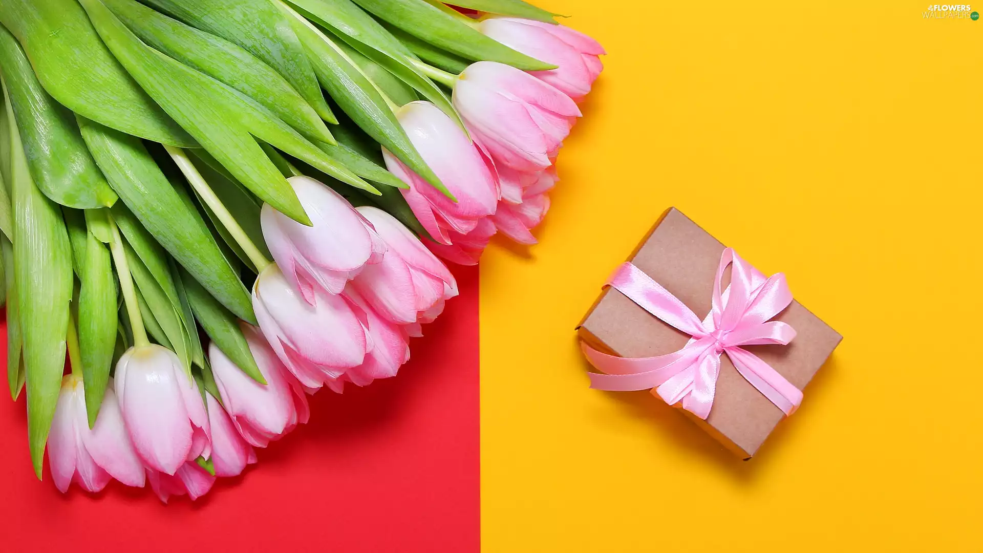 Red-Yellow, background, Tulips, Present, Pink