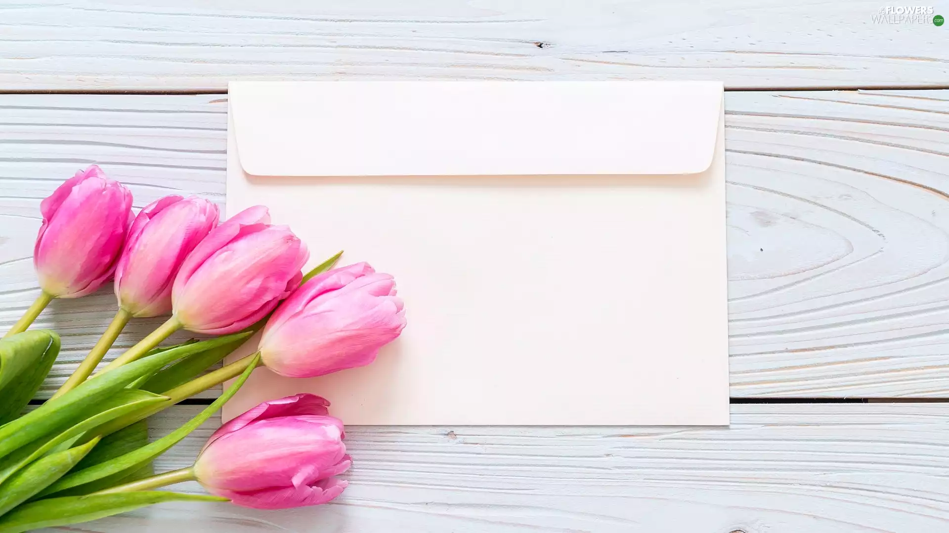 Pink, envelope, boarding, Tulips