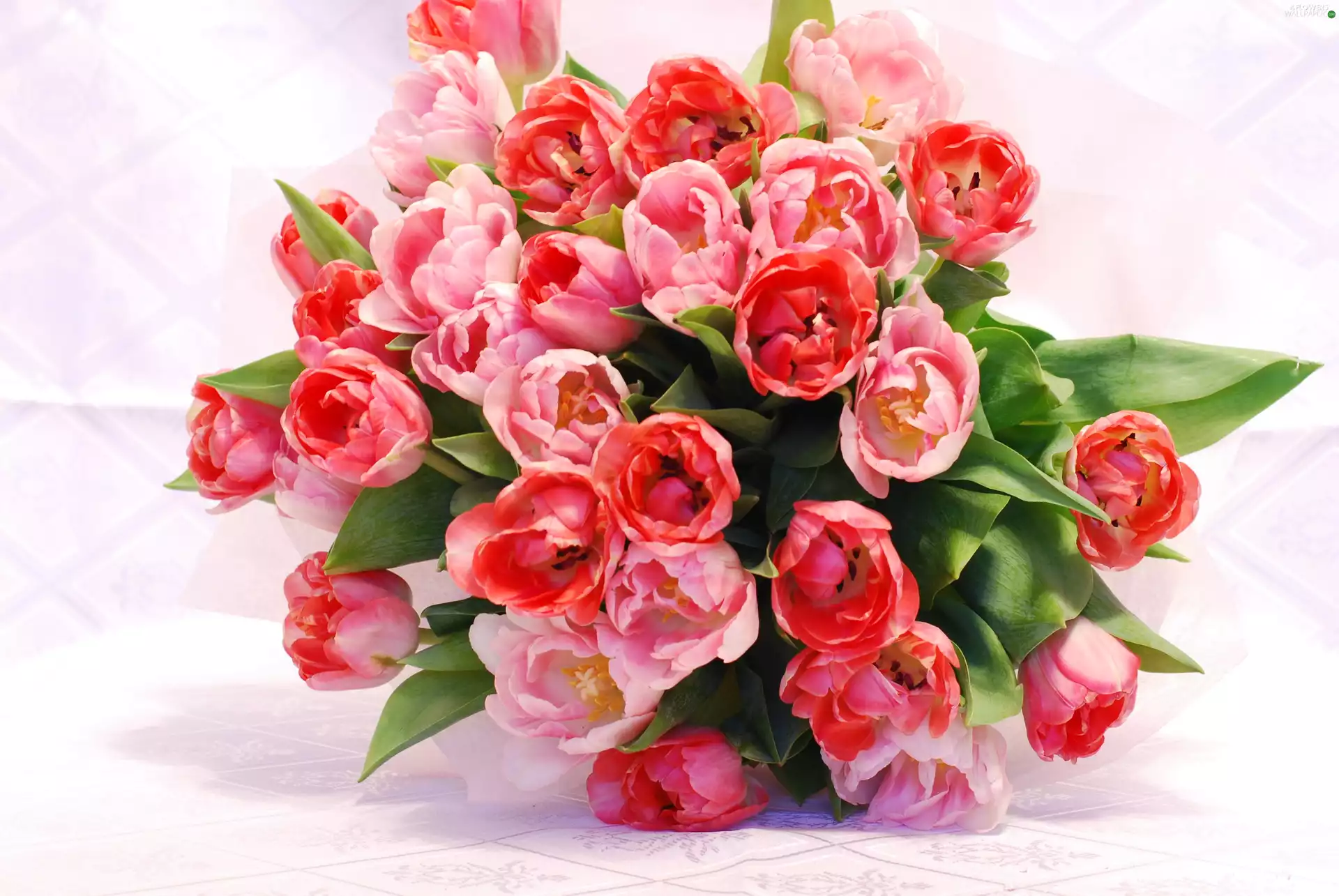 tulips, bouquet, pink