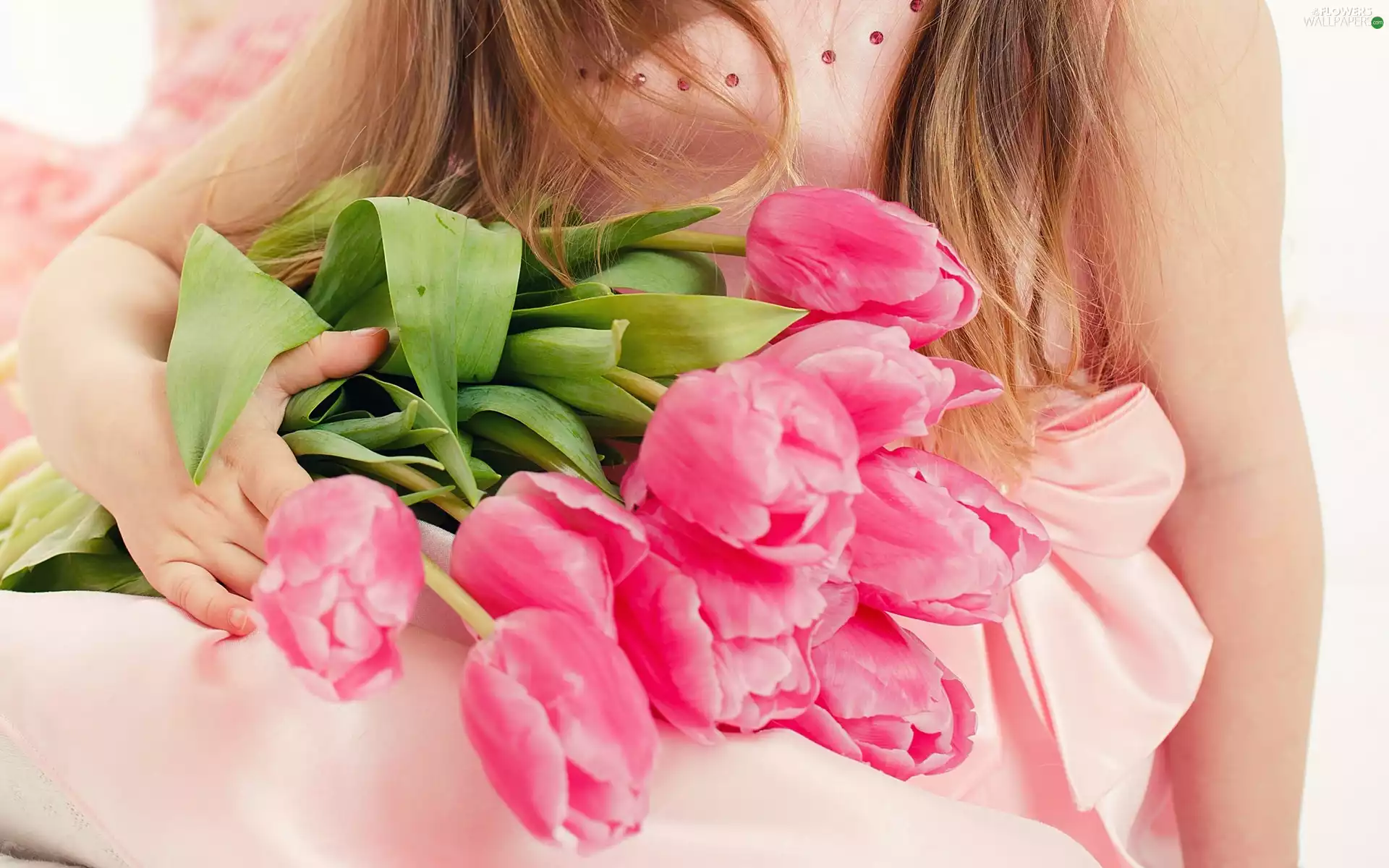Tulips, bouquet, Pink