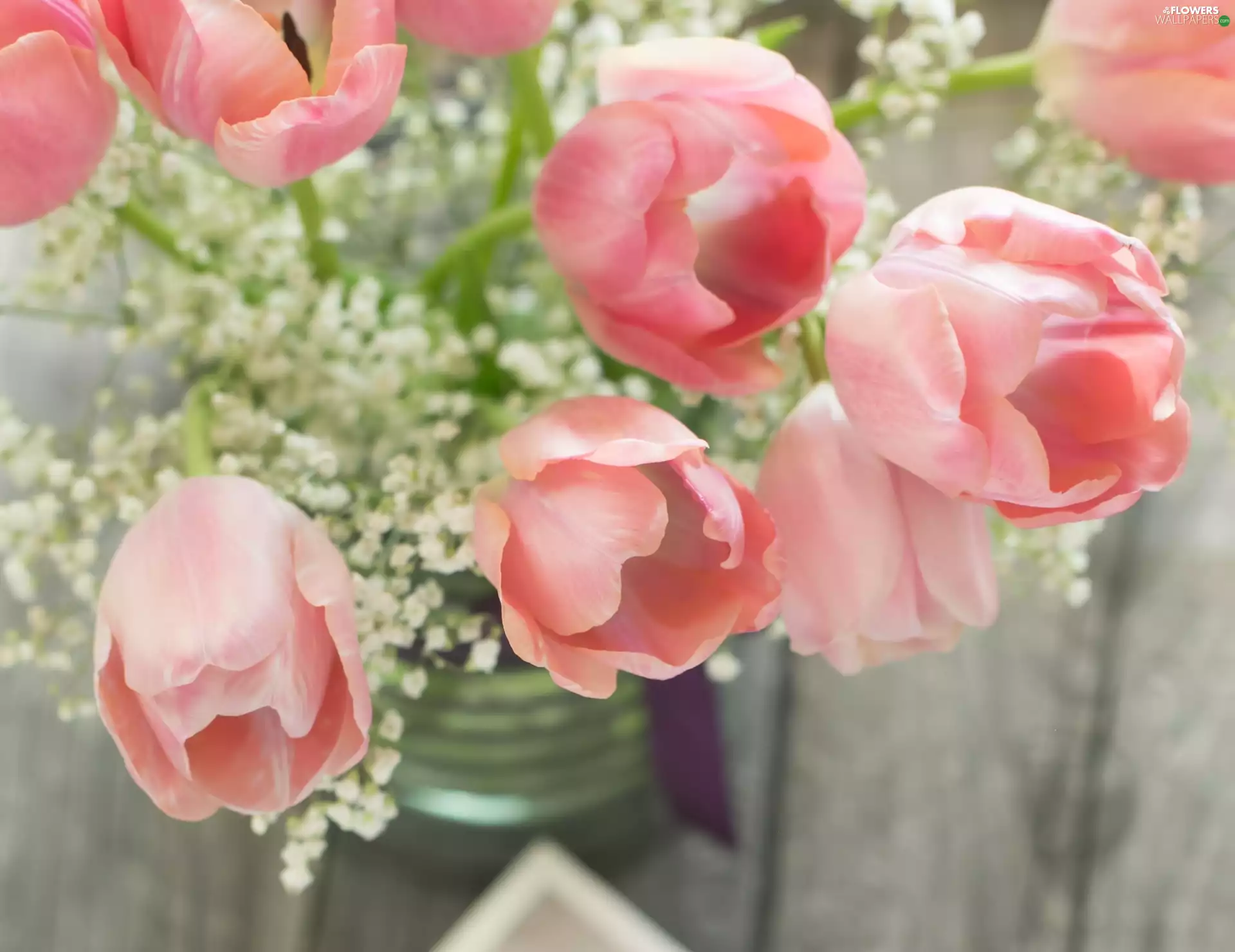 Tulips, bouquet, Pink