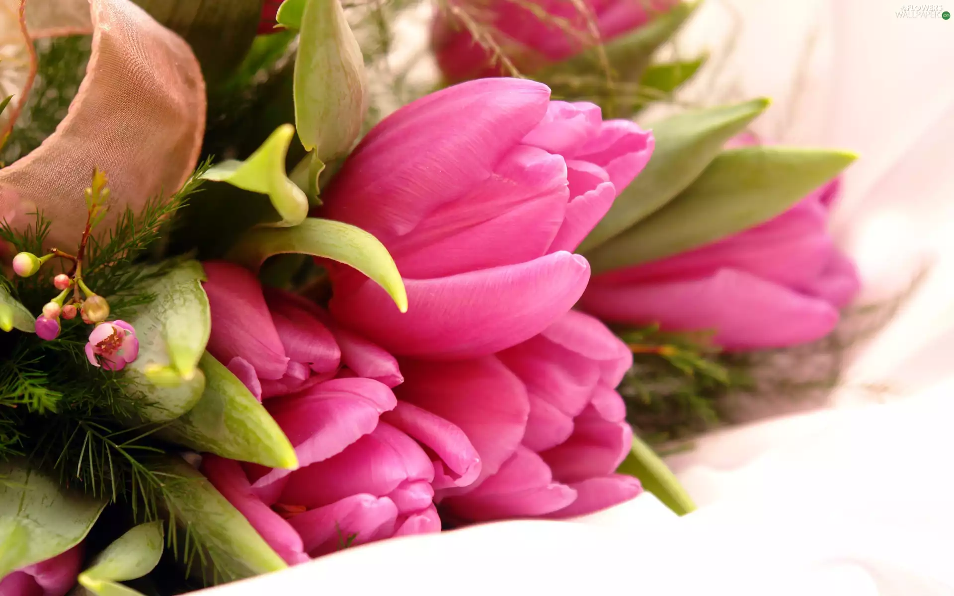 tulips, bouquet, pink