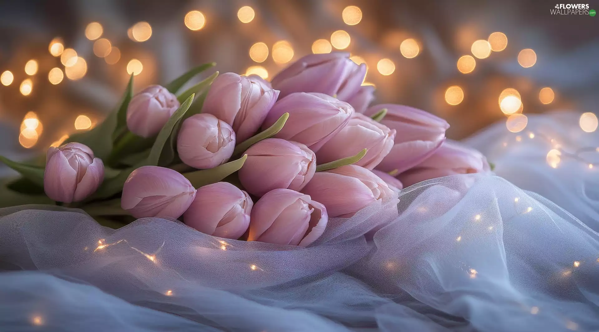 Pink, lights, tulle, Tulips