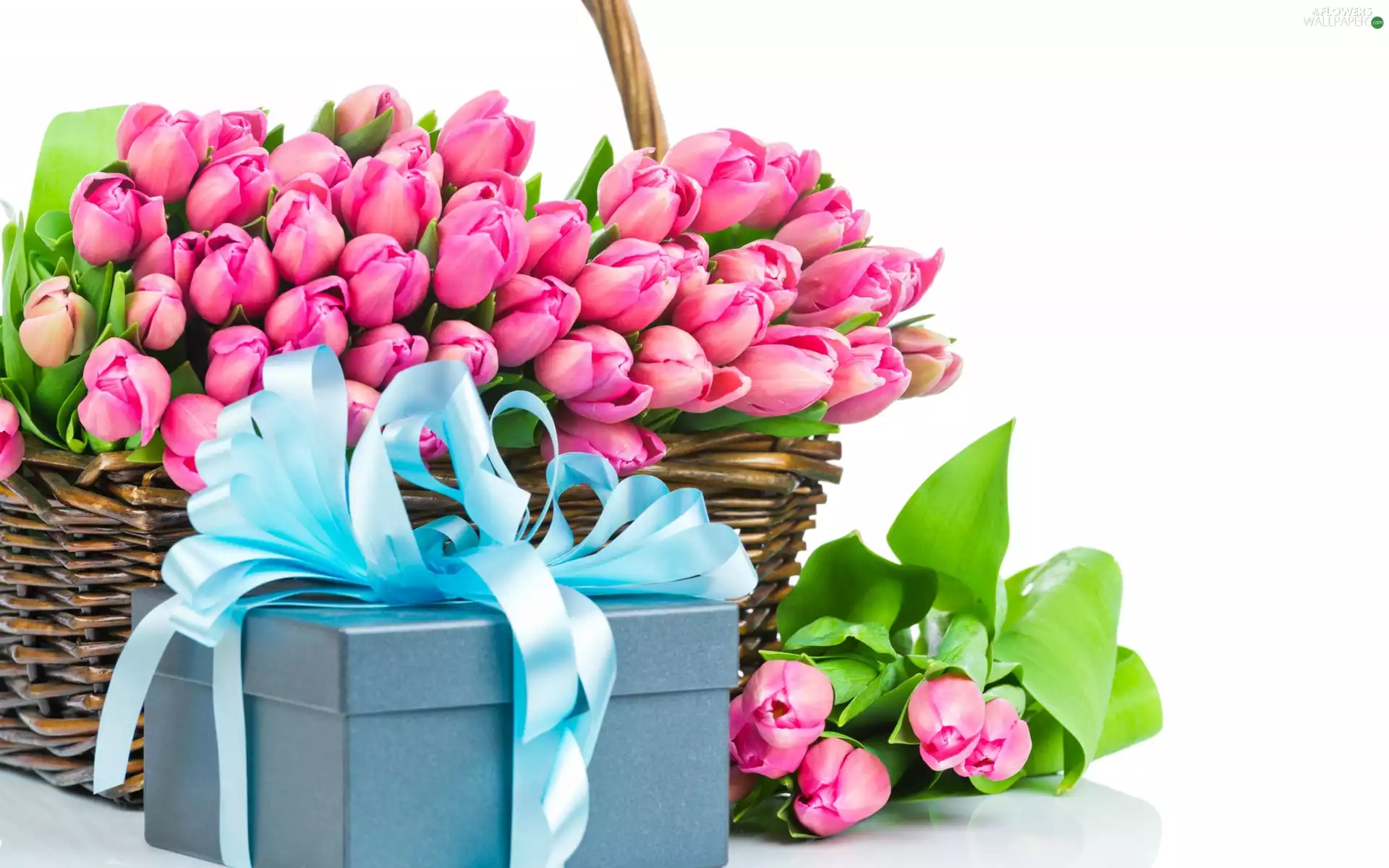 Present, wicker, basket, Tulips