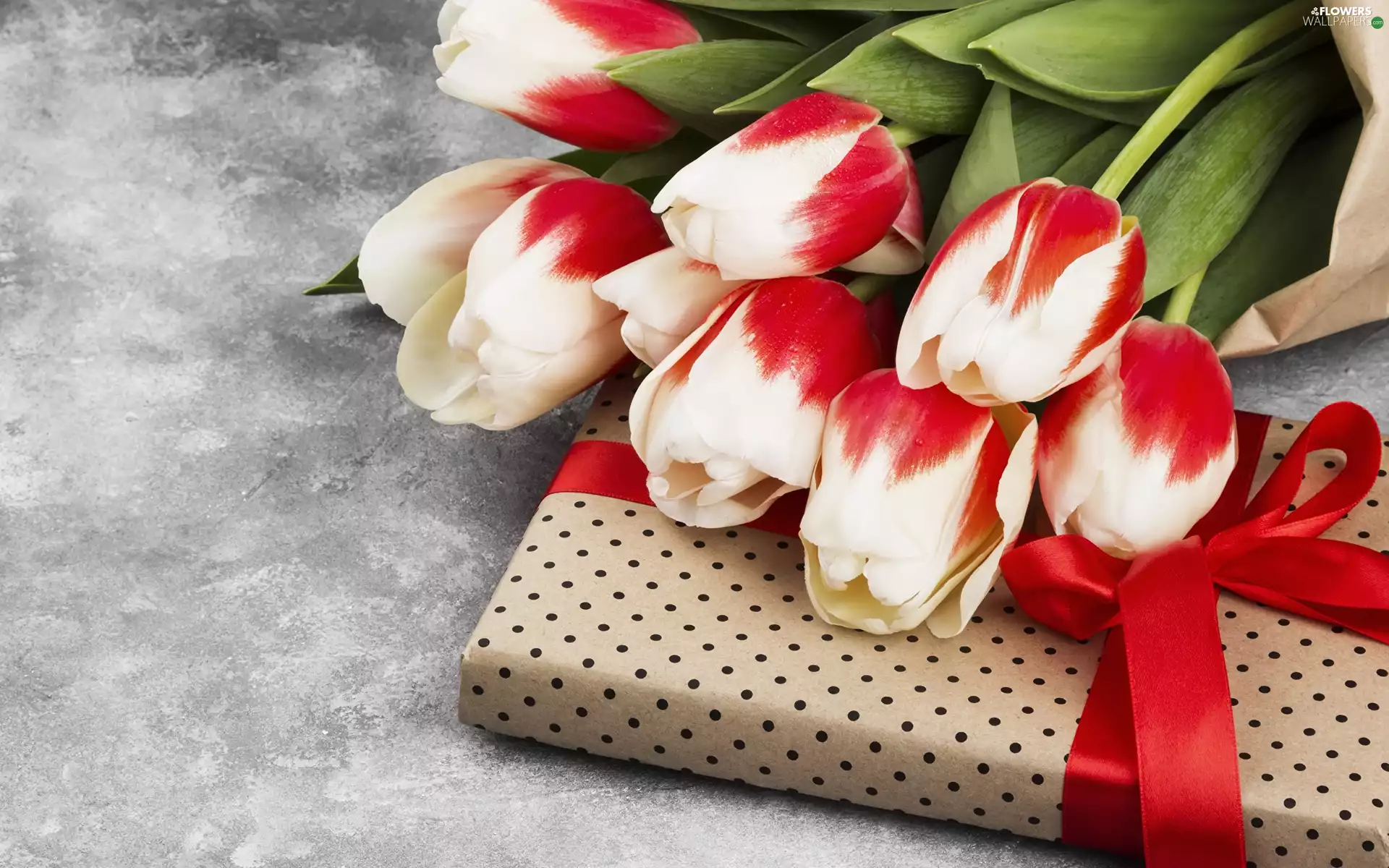 Present, White-Red, Tulips