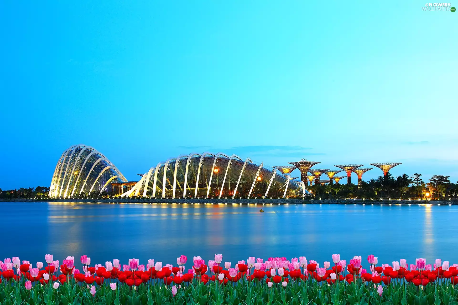 Singapur, water, structures, Tulips