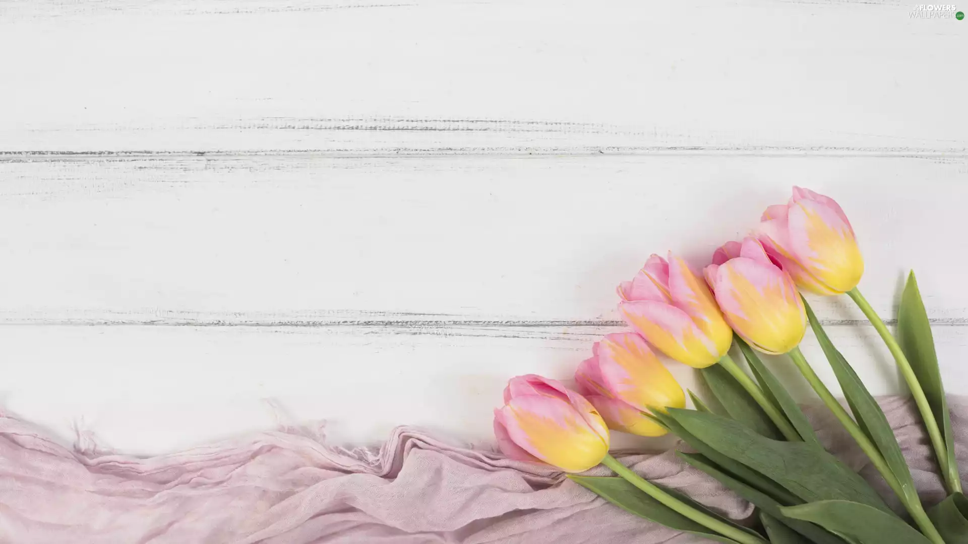 stuff, Pink-Yellow, Tulips