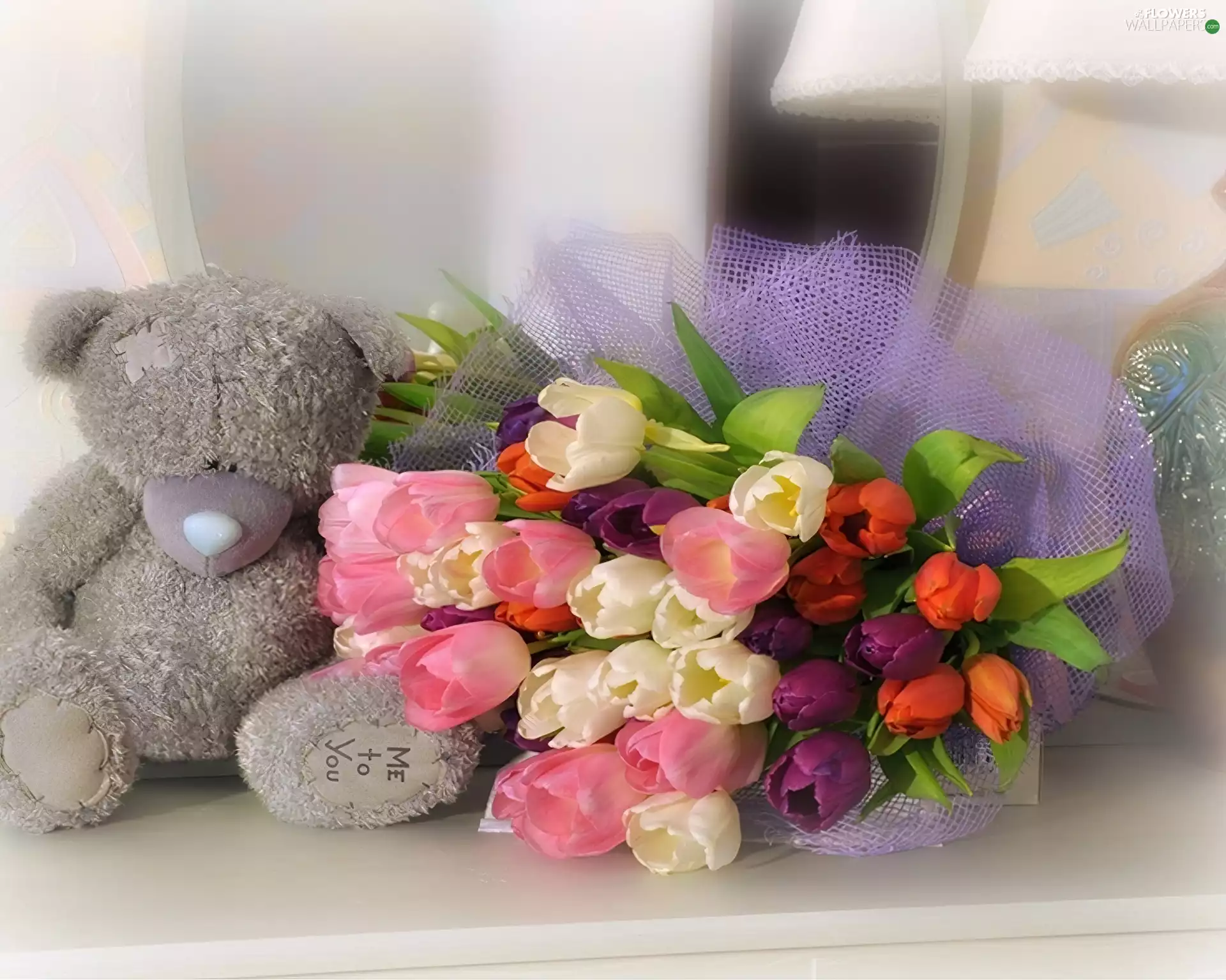 teddy bear, color, Tulips