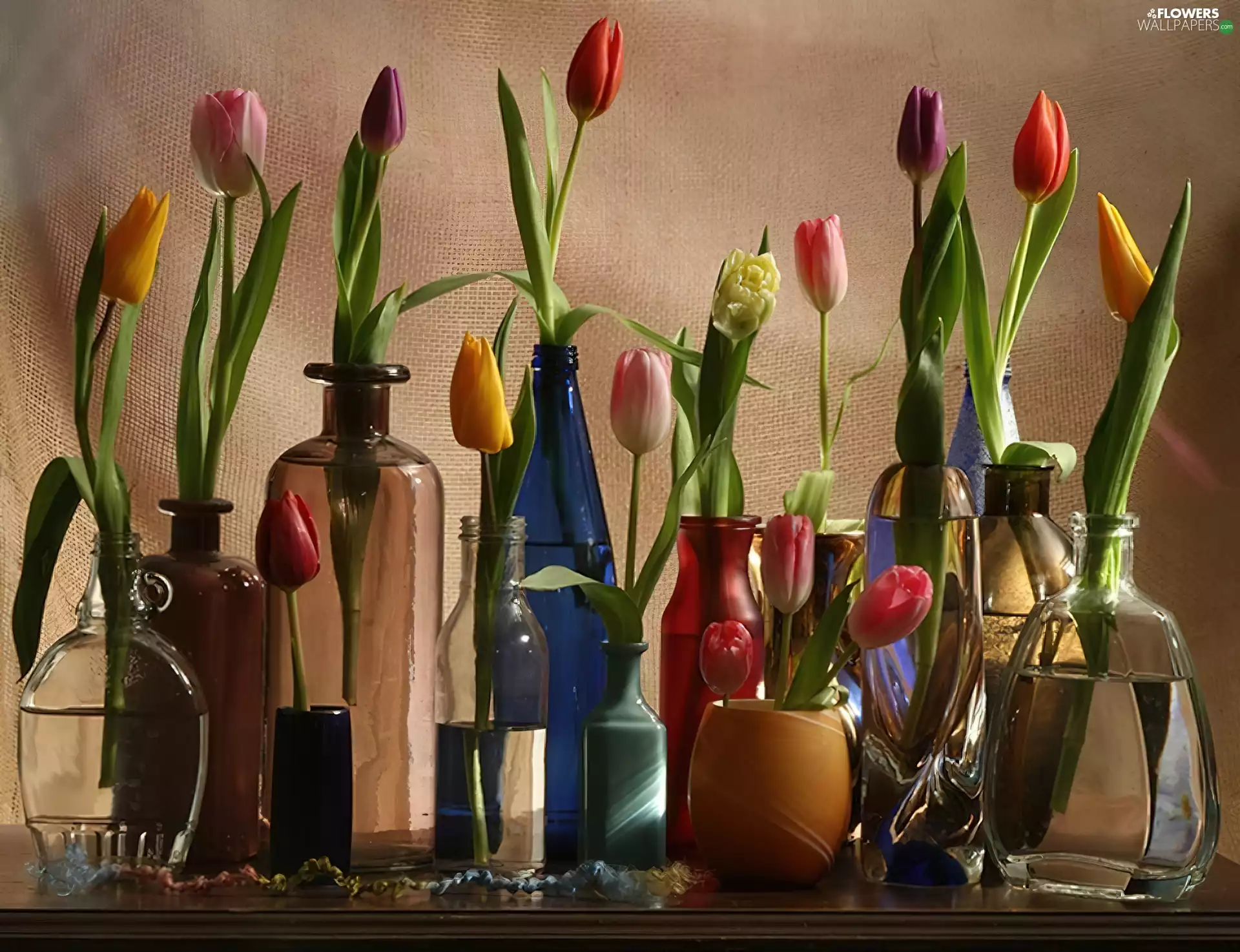 Tulips, vases