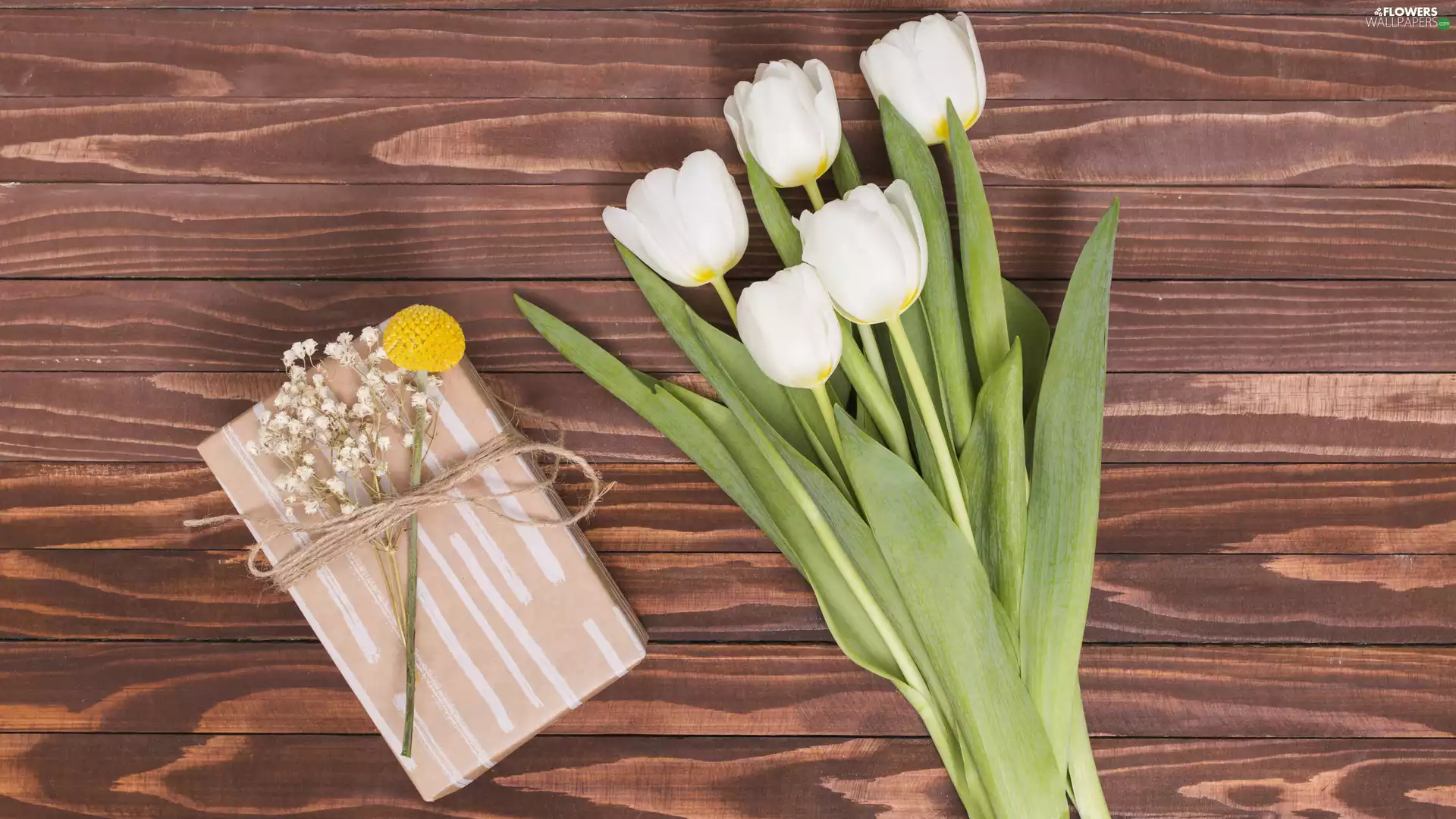 White, bouquet, Present, Tulips