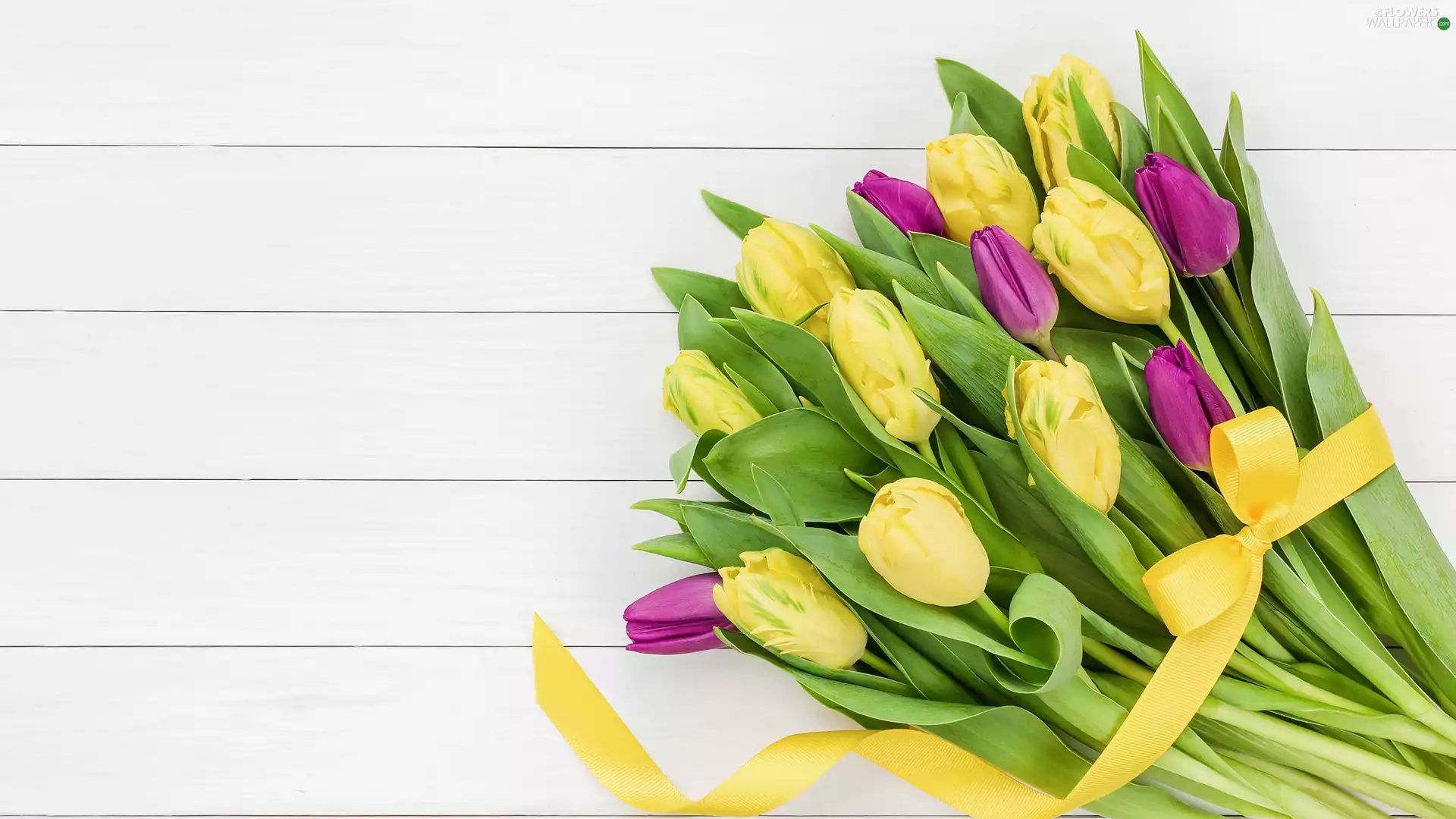 bouquet, purple, White, Tulips, Yellow, ribbon, boarding