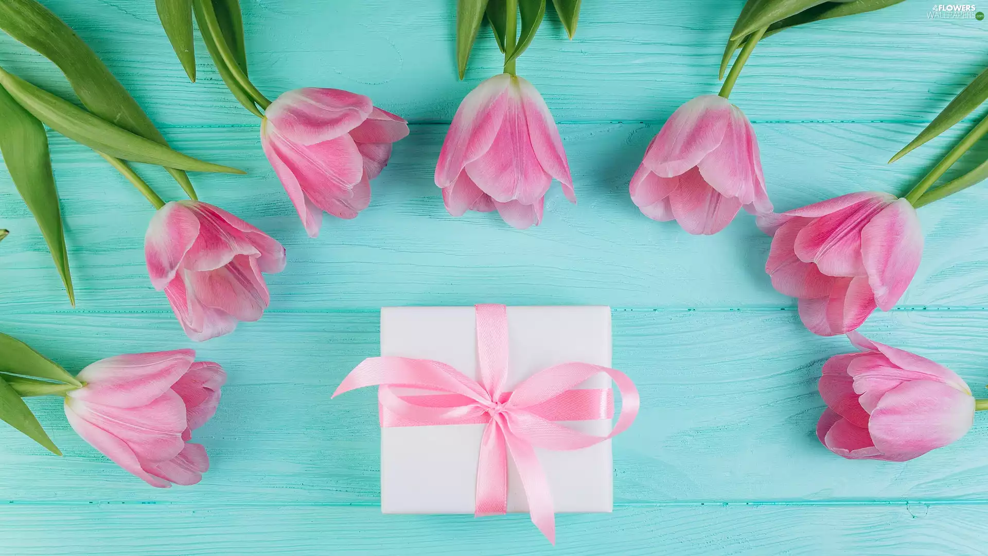 Present, Pink, wood, Tulips, Flowers, ribbon, boarding