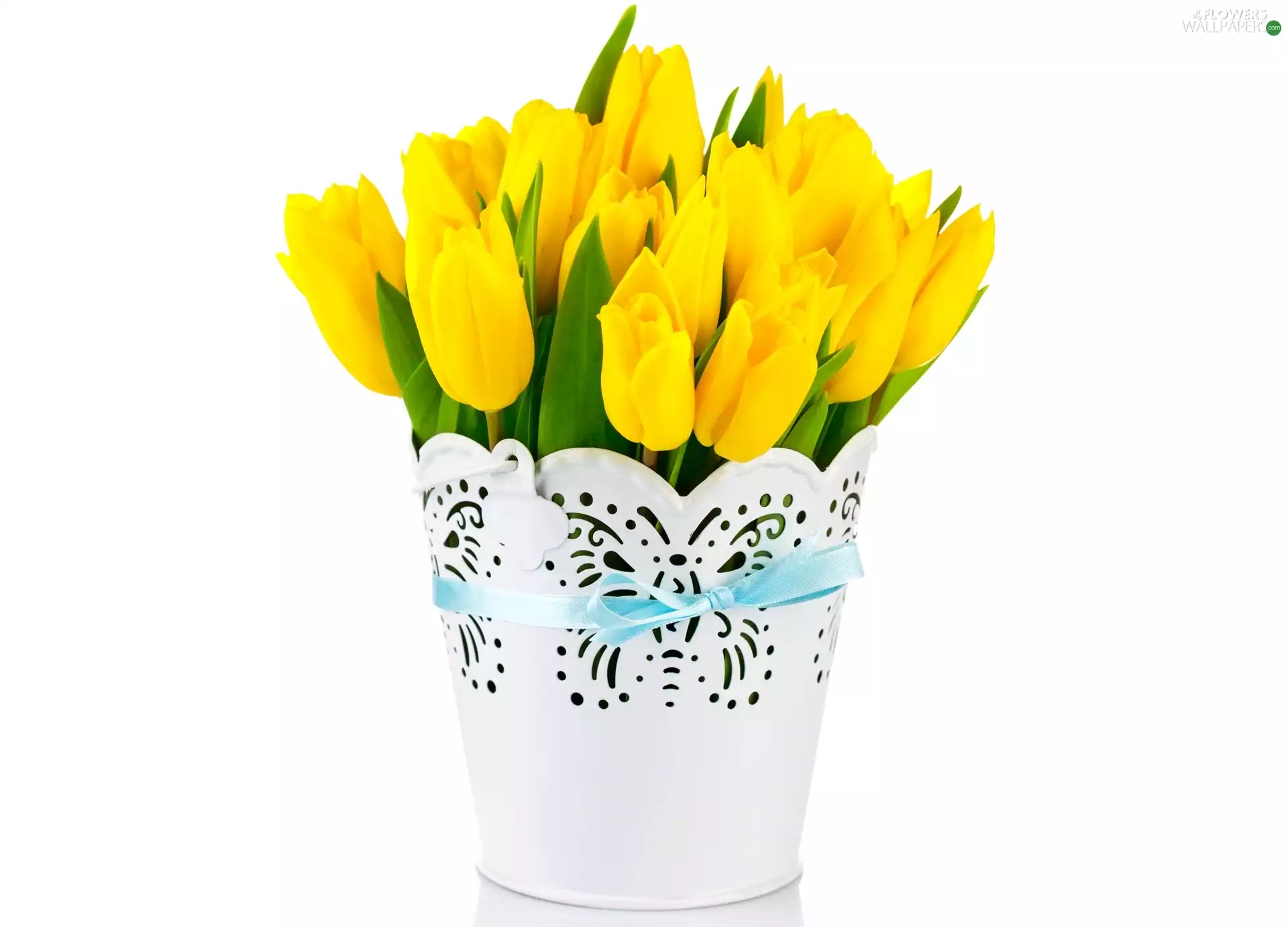 Tulips, bouquet, Yellow