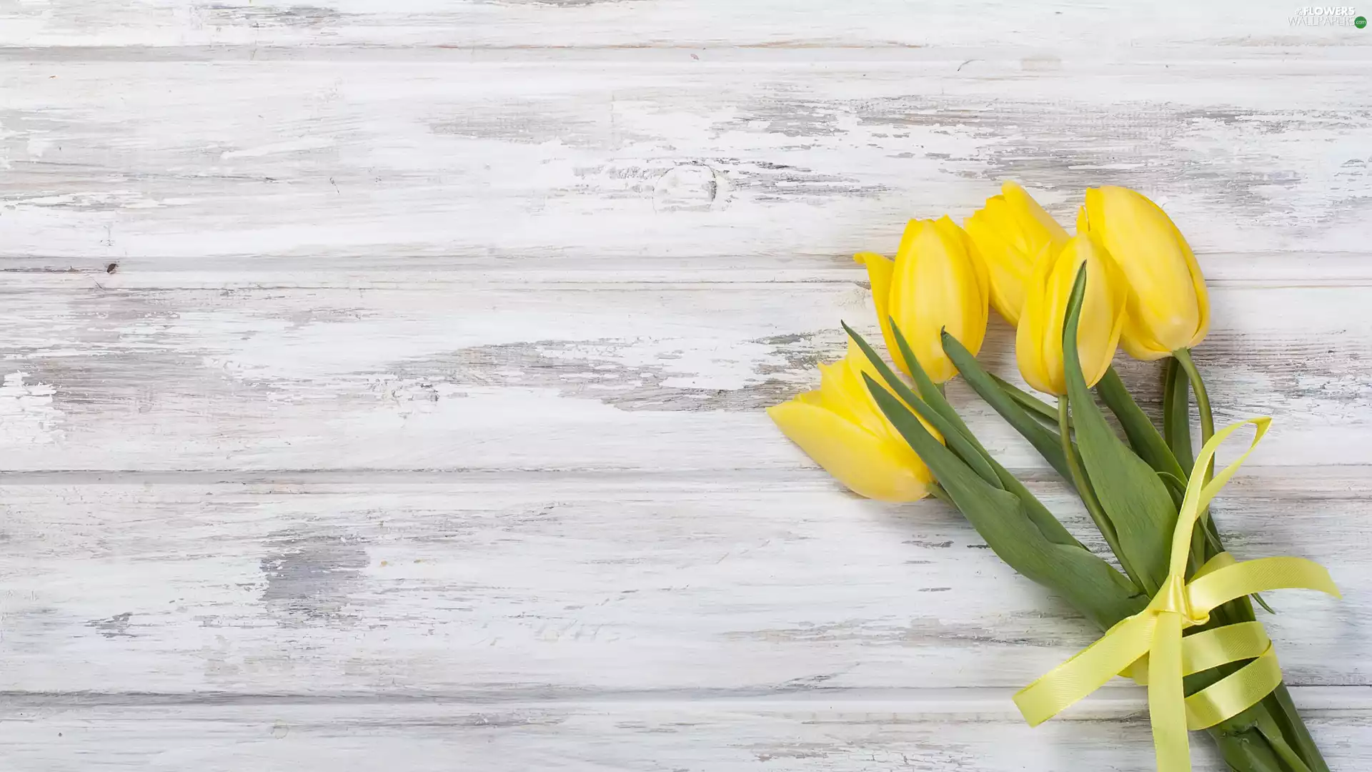 Yellow, ribbon, bouquet, Tulips