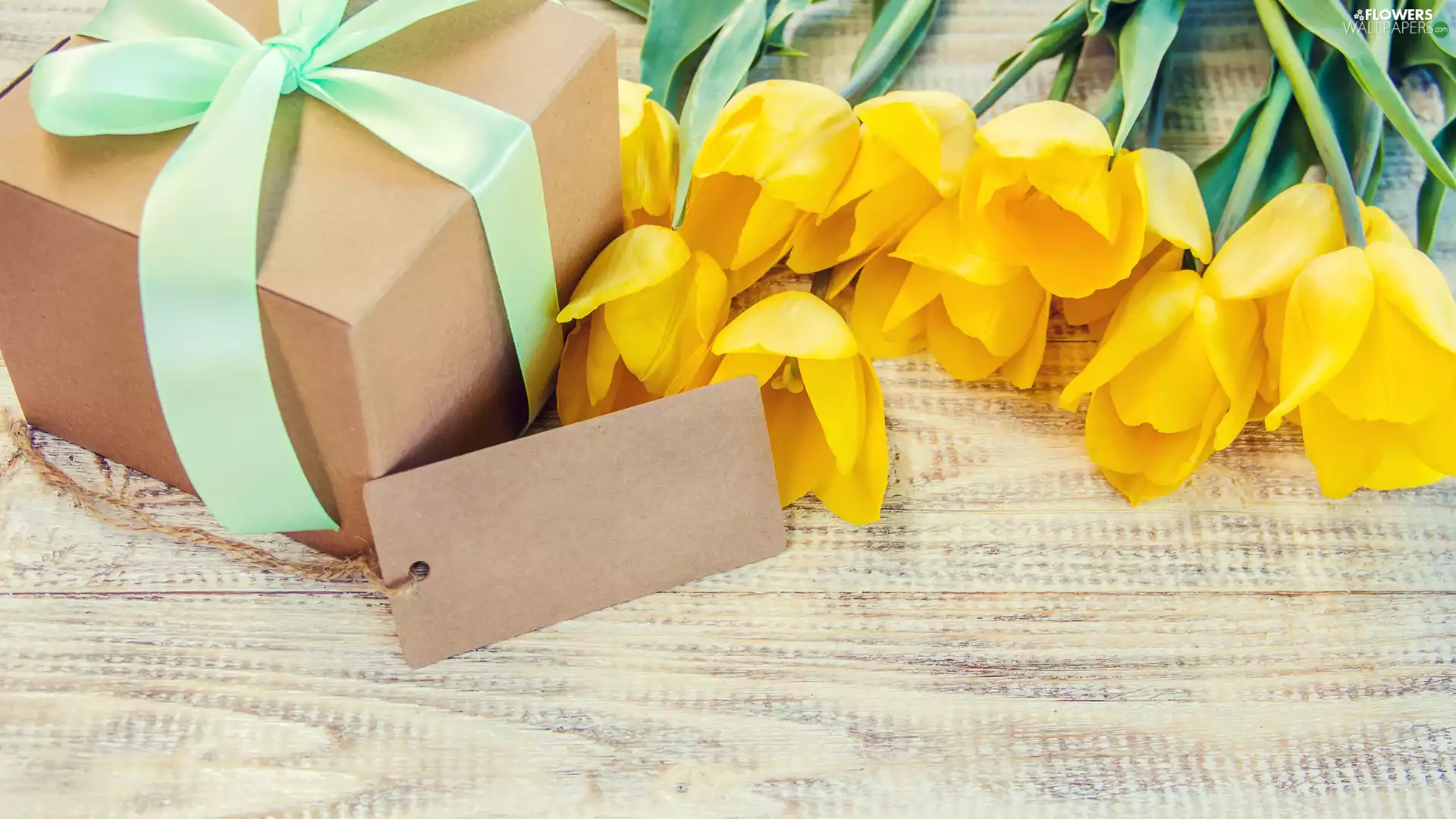 Yellow, Present, chit, Tulips