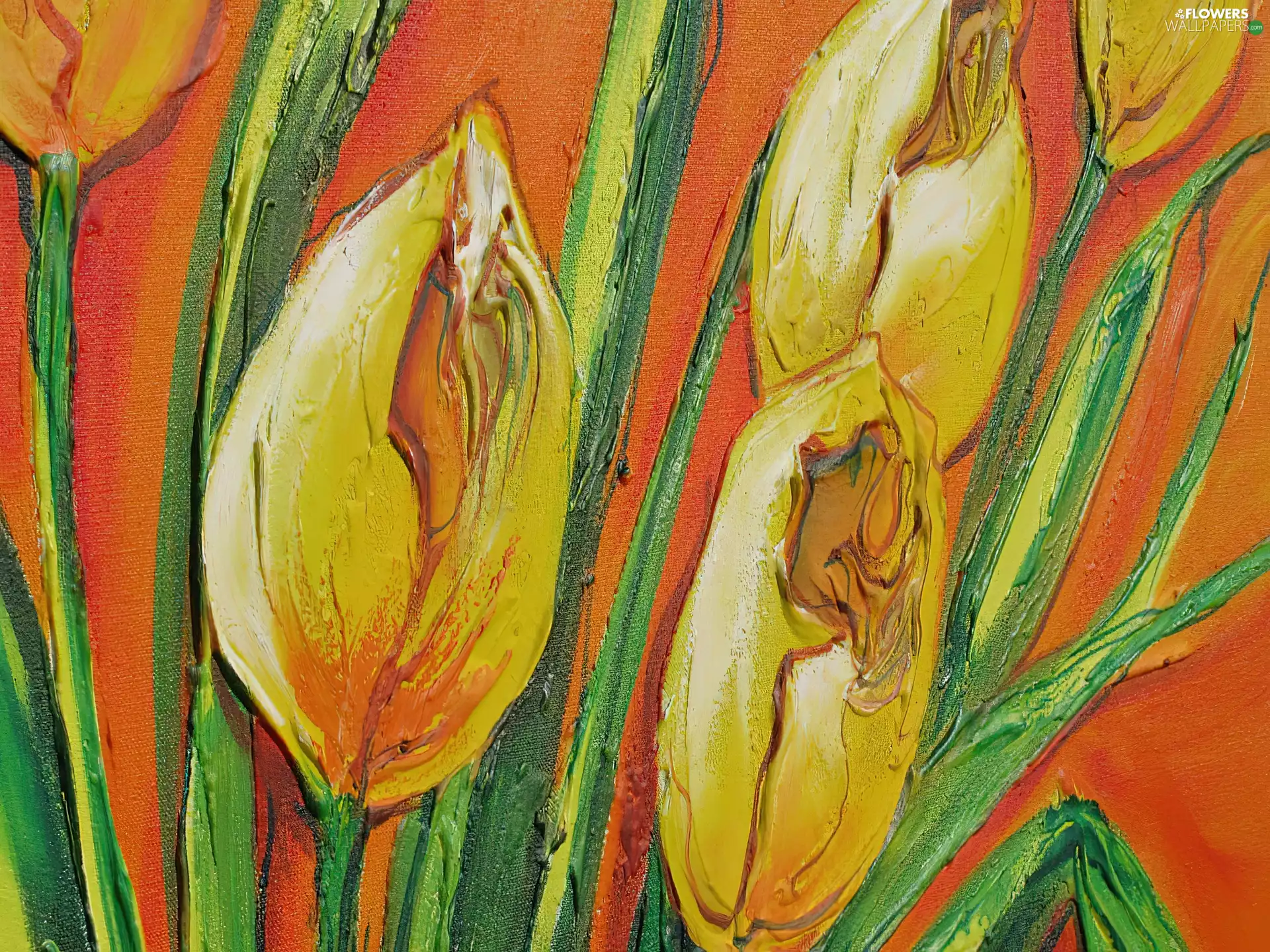 Yellow, picture, oil, Tulips