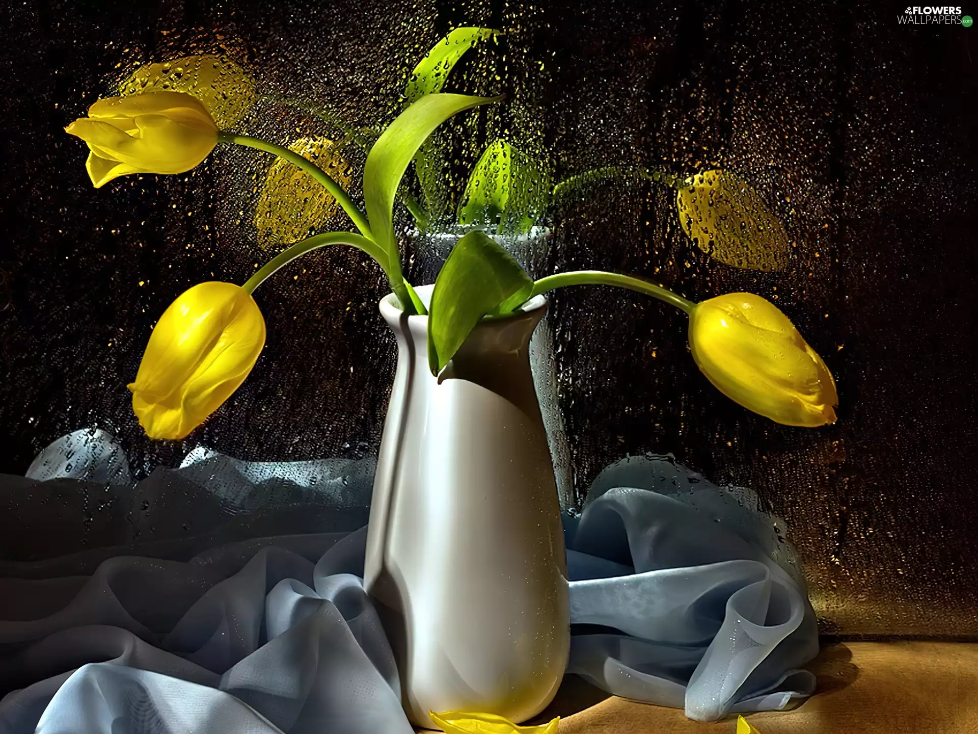 Yellow, drops, water, Tulips