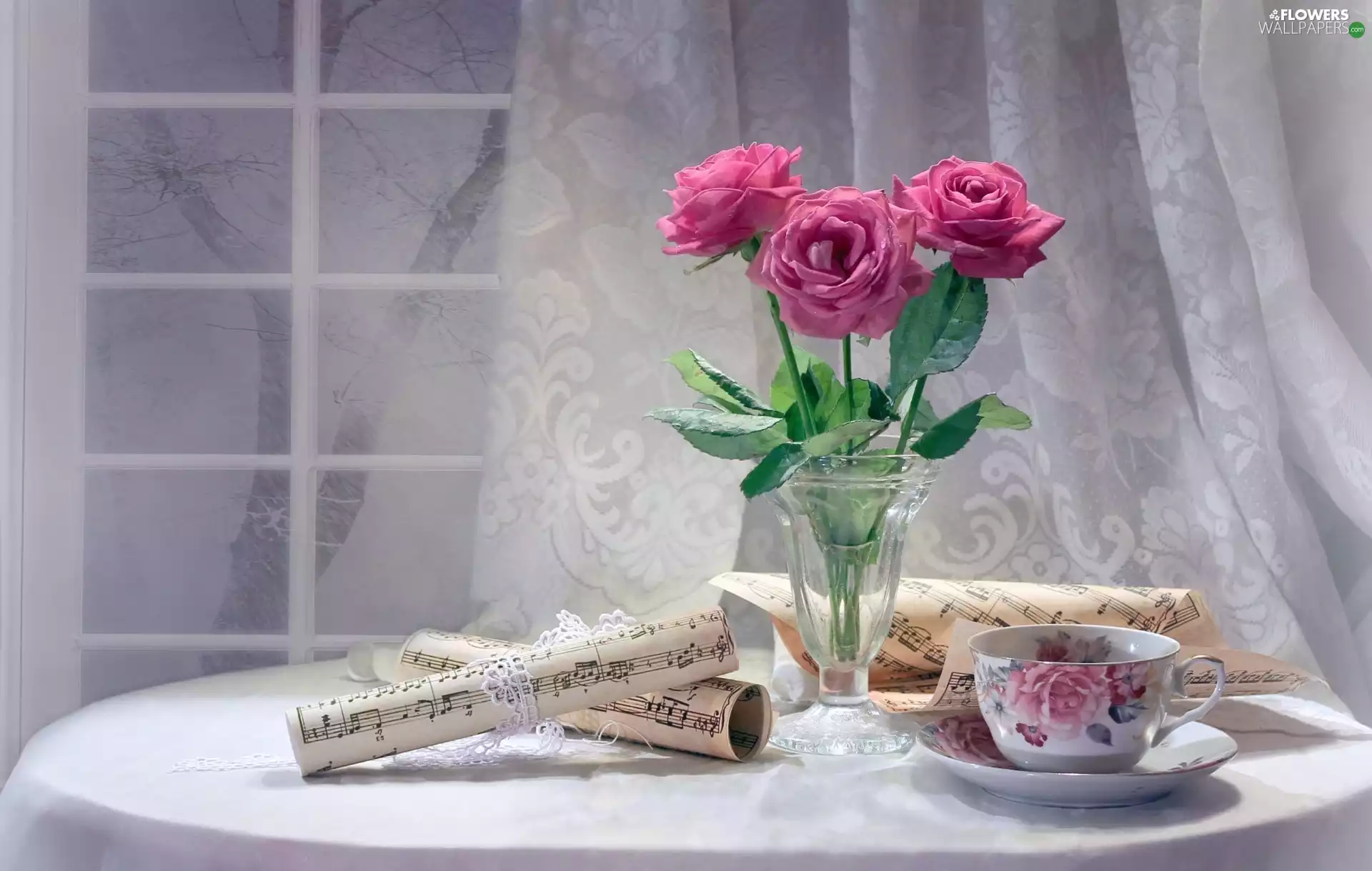 cup, Tunes, bouquet, roses, composition