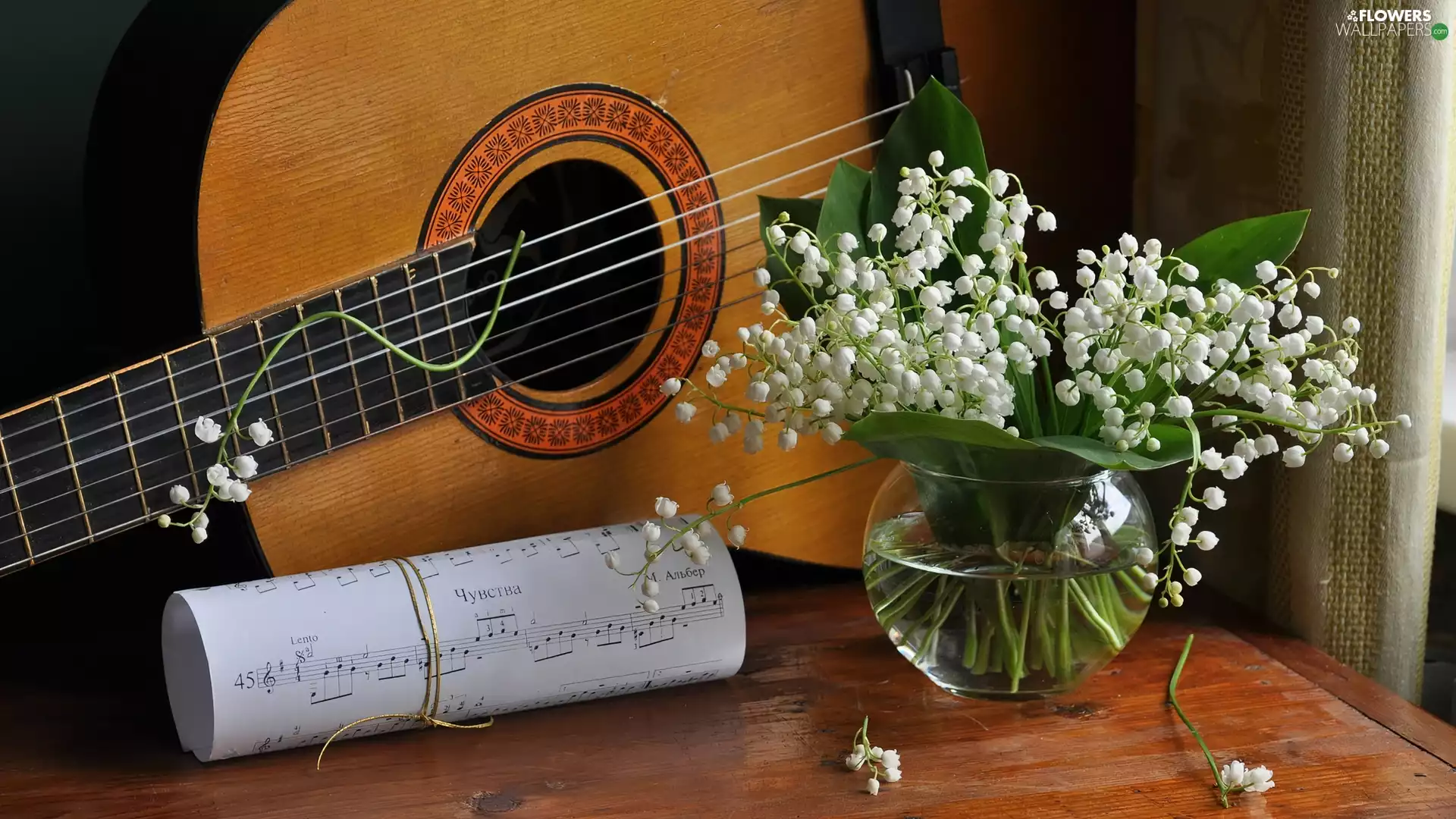 Tunes, lilies, Guitar