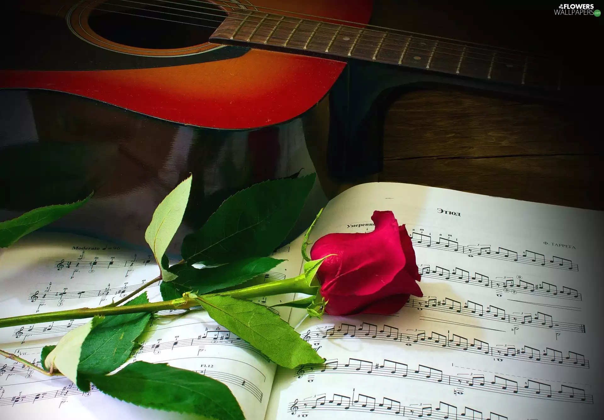 Guitar, composition, rose, Tunes, red hot