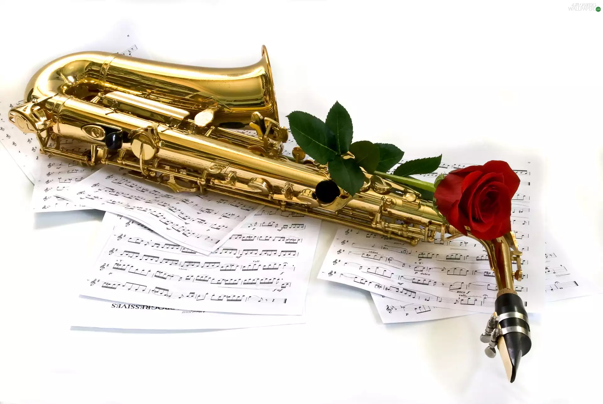 Tunes, rose, musical, saxophone, instrument