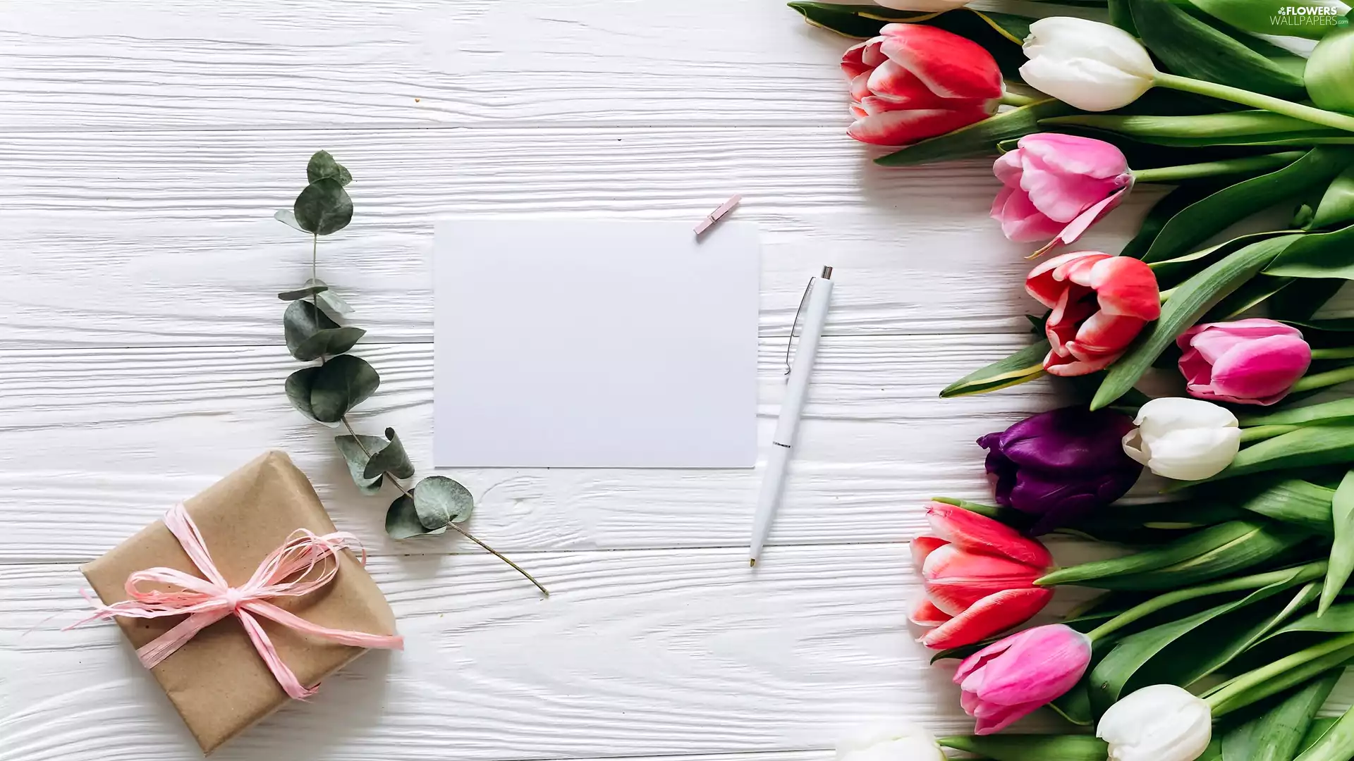 Present, card, boarding, pen, leaves, color, Tulips, twig