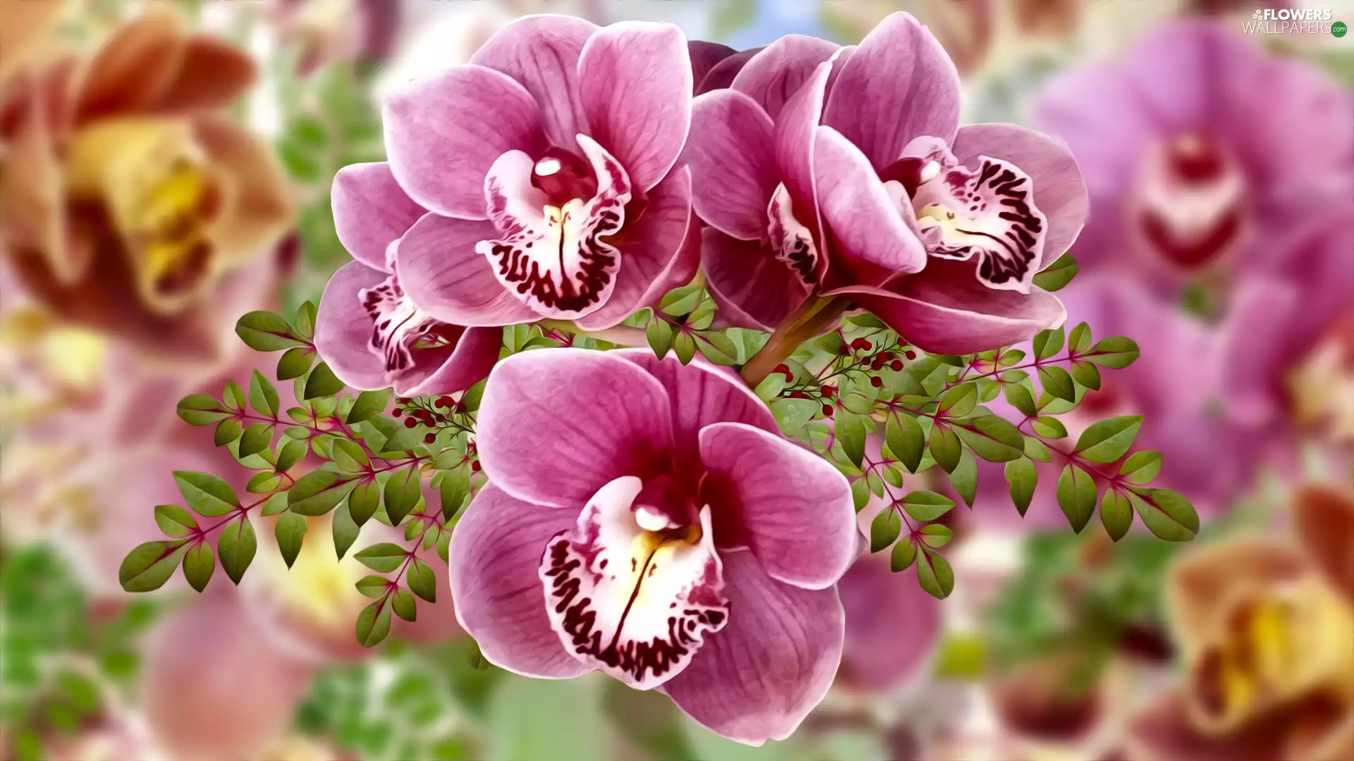 orchids, Leaf, graphics, twig
