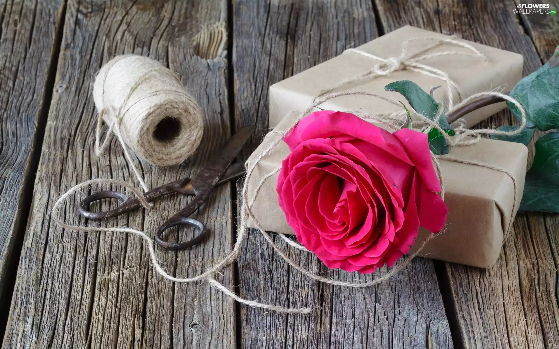 cop, twine, rose, gifts, Pink