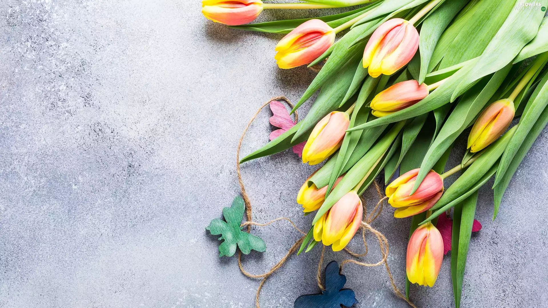 butterfly, twine, Tulips, wood, color