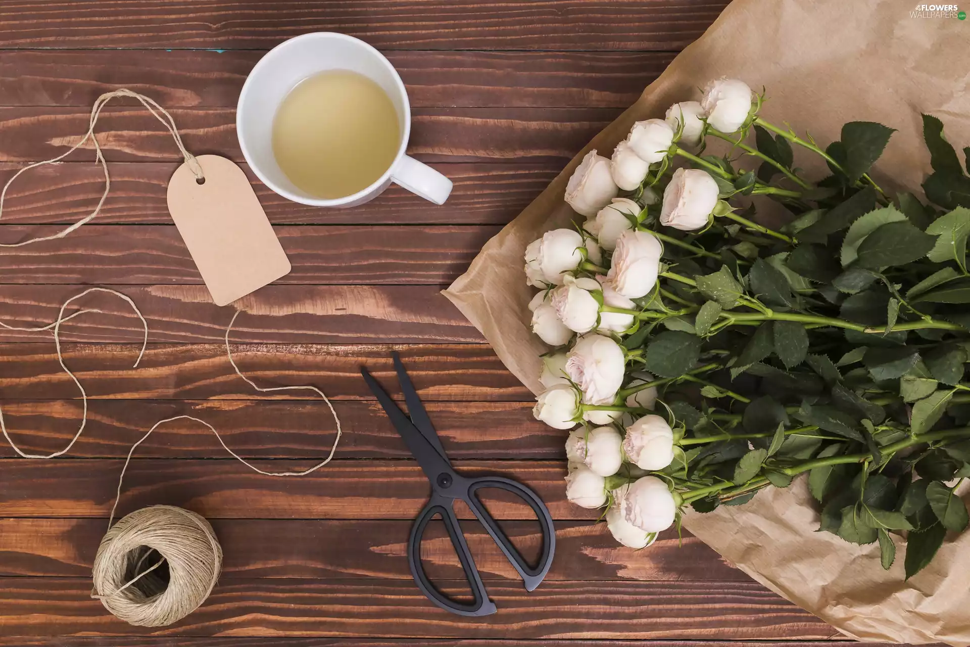 scissors, twine, White, roses, cup
