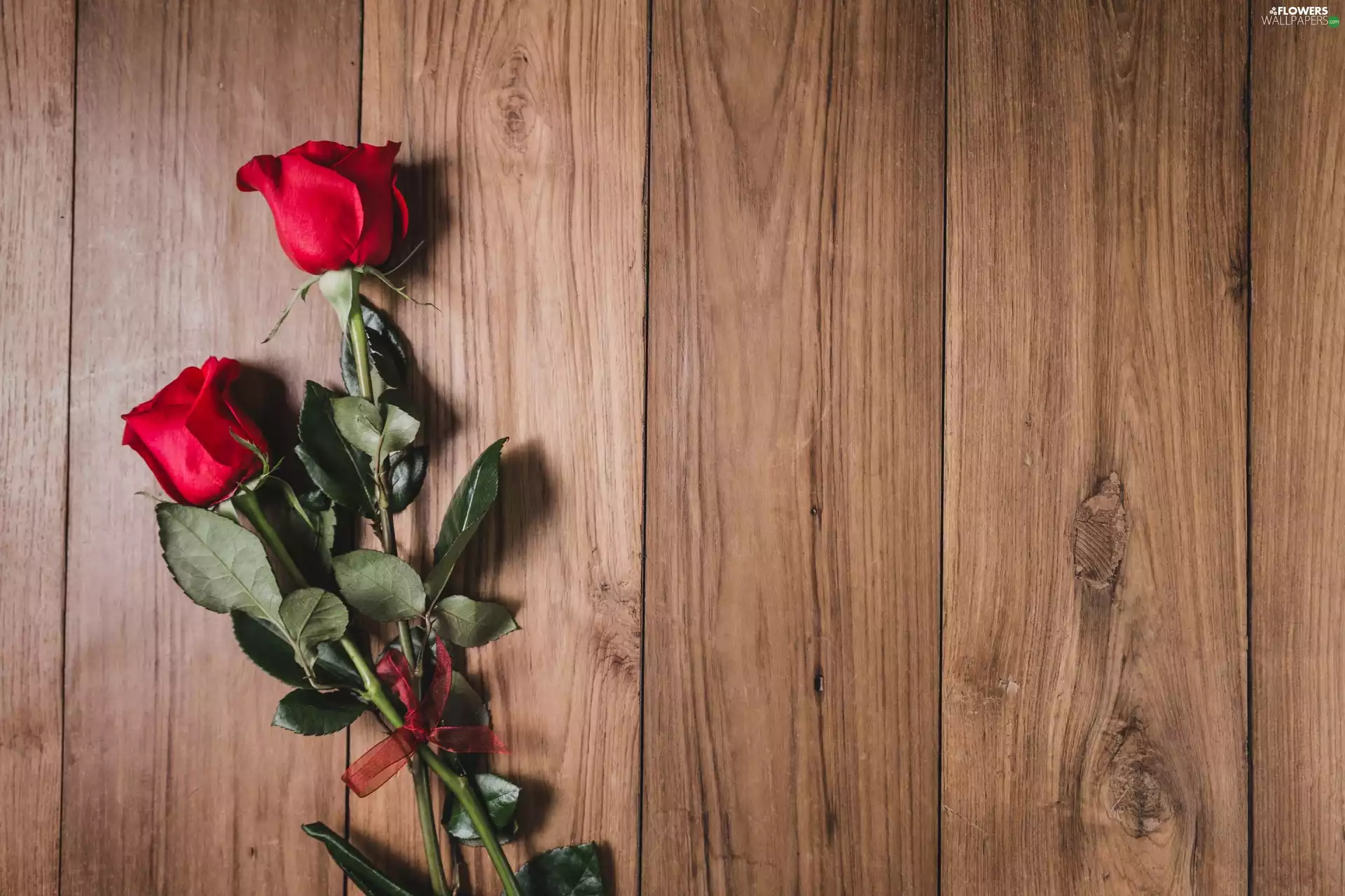 bunch, roses, boarding, Two