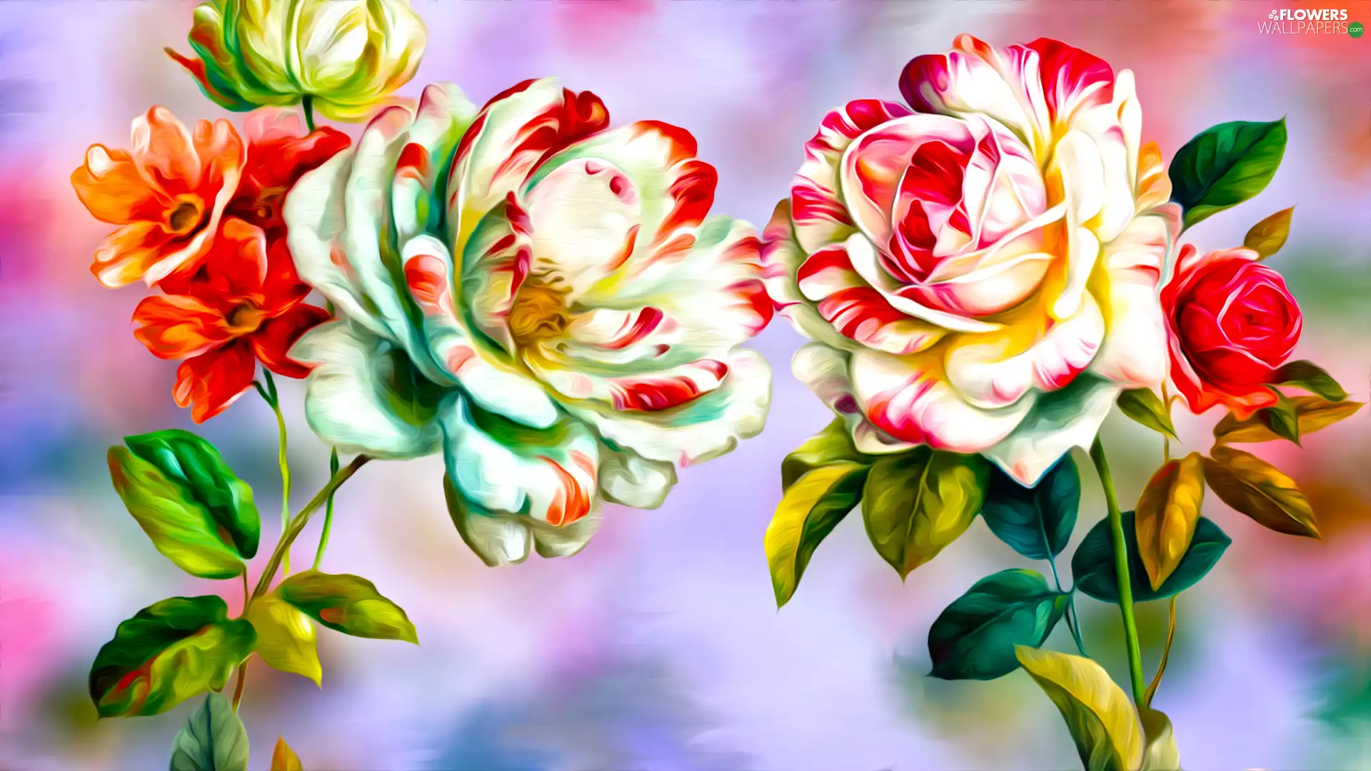 roses, graphics, Two, Two tone, Flowers