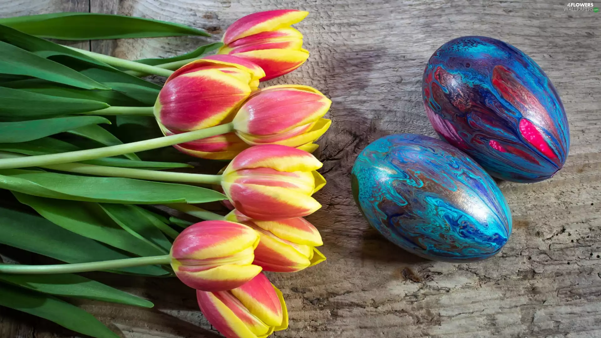 eggs, Easter, Tulips, Two, Yellow-red