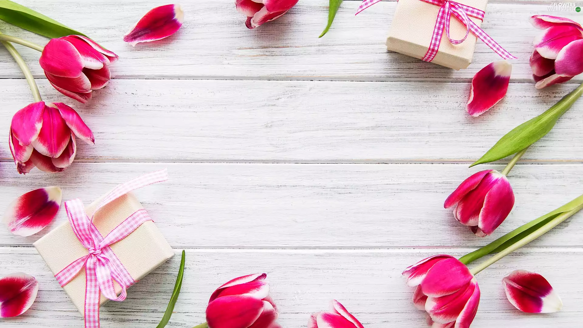 gifts, boarding, Tulips, Two cars, scattered