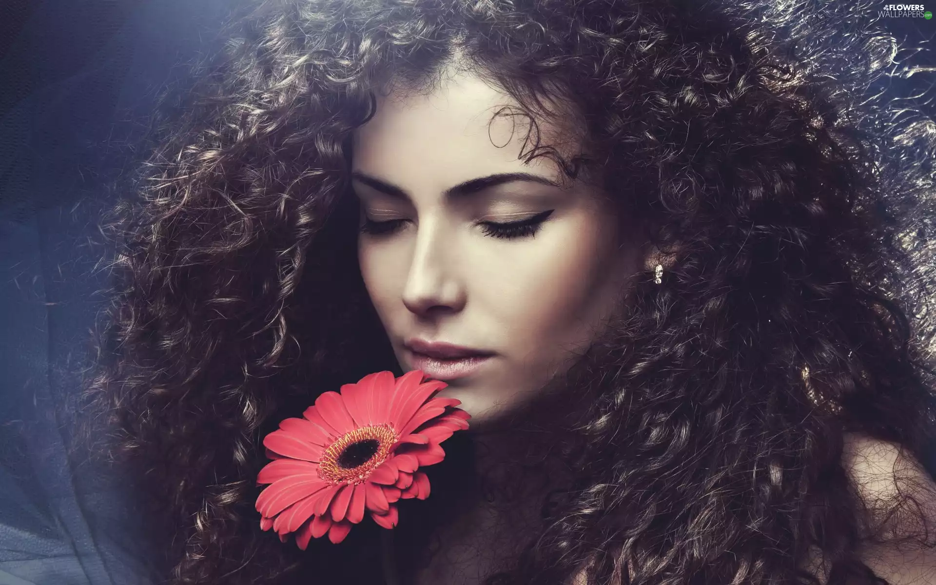 Gerbera, Women, make-up