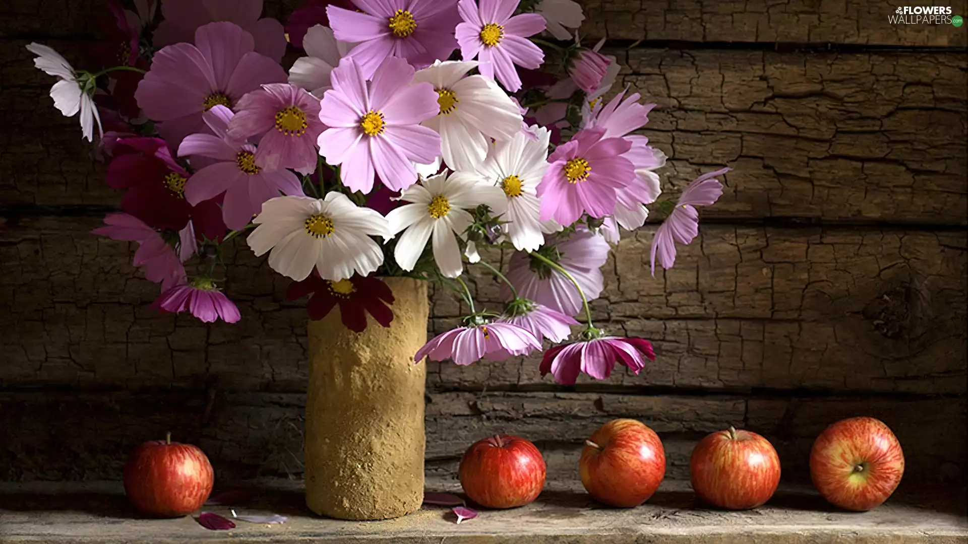 Vase, apples, White, Cosmos, purple