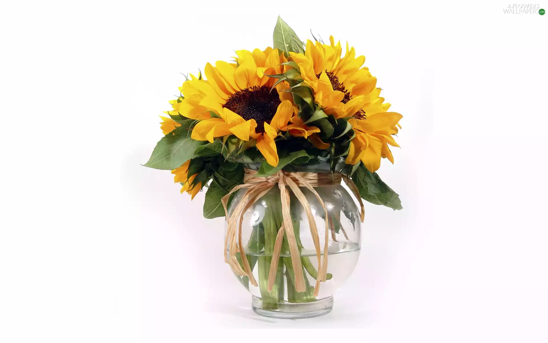 bouquet, clear, Vase, sunflowers