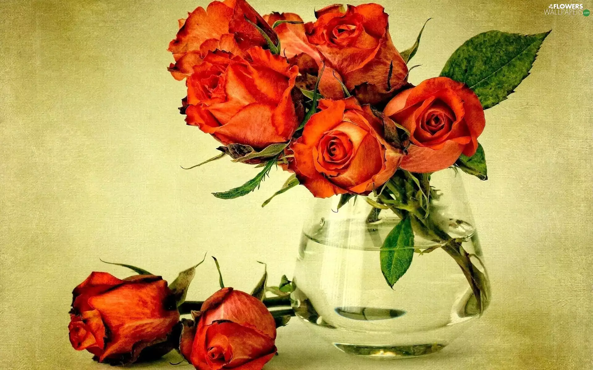 Vase, roses, bouquet