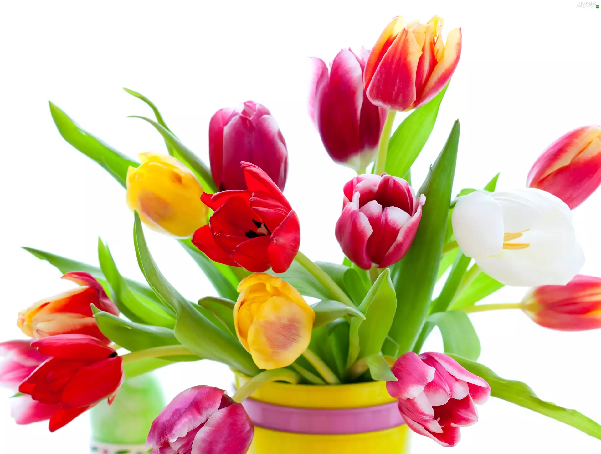 Flowers, Vase, bouquet, colourfull tulips