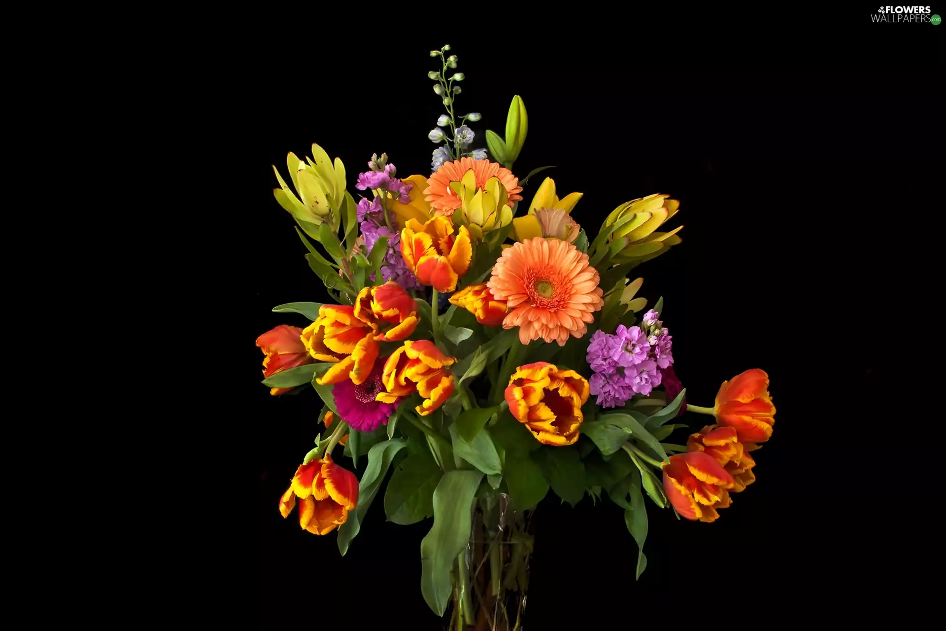bouquet, gerberas, Tulips, Vase